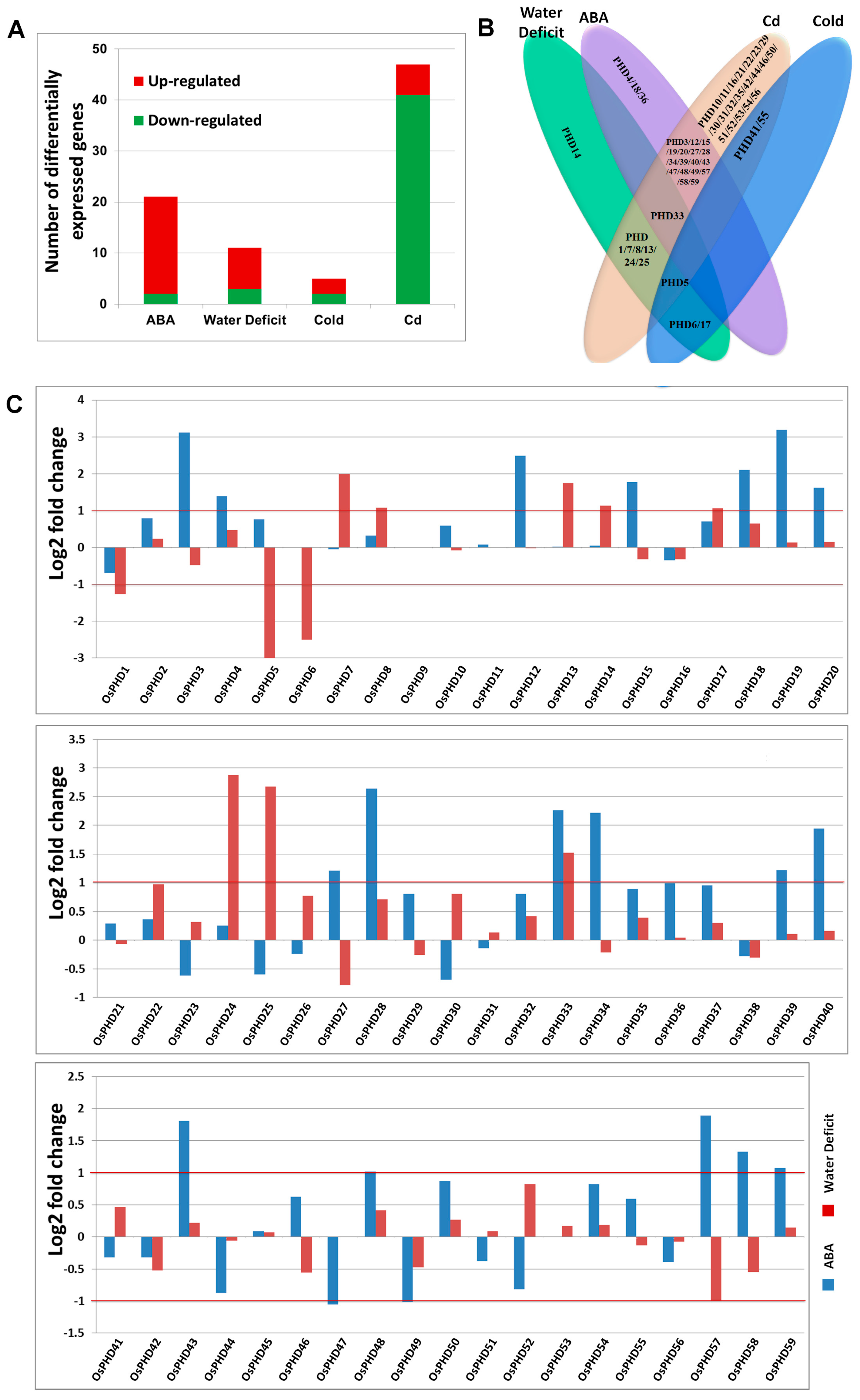 Ijms 18 02005 g007 550