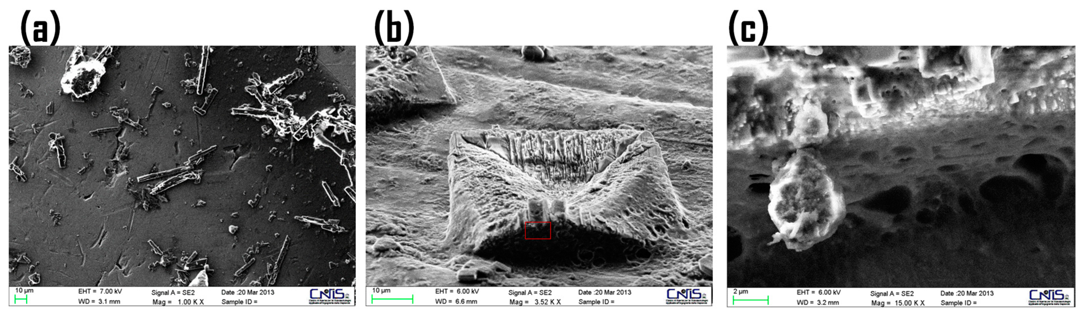 Ijms 18 02006 g010 550