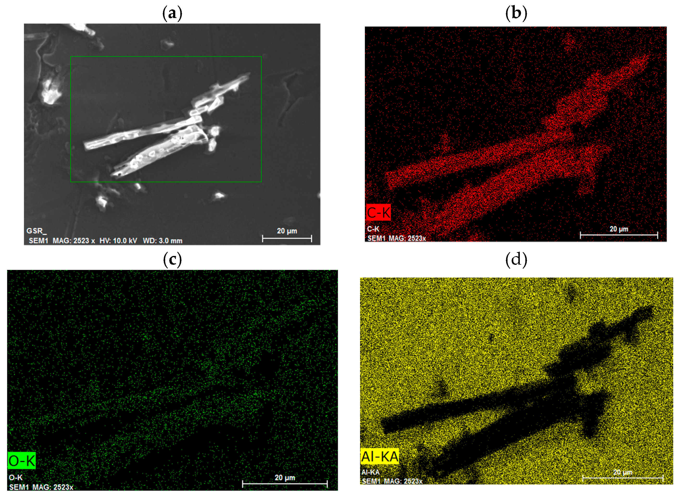 Ijms 18 02006 g011 550