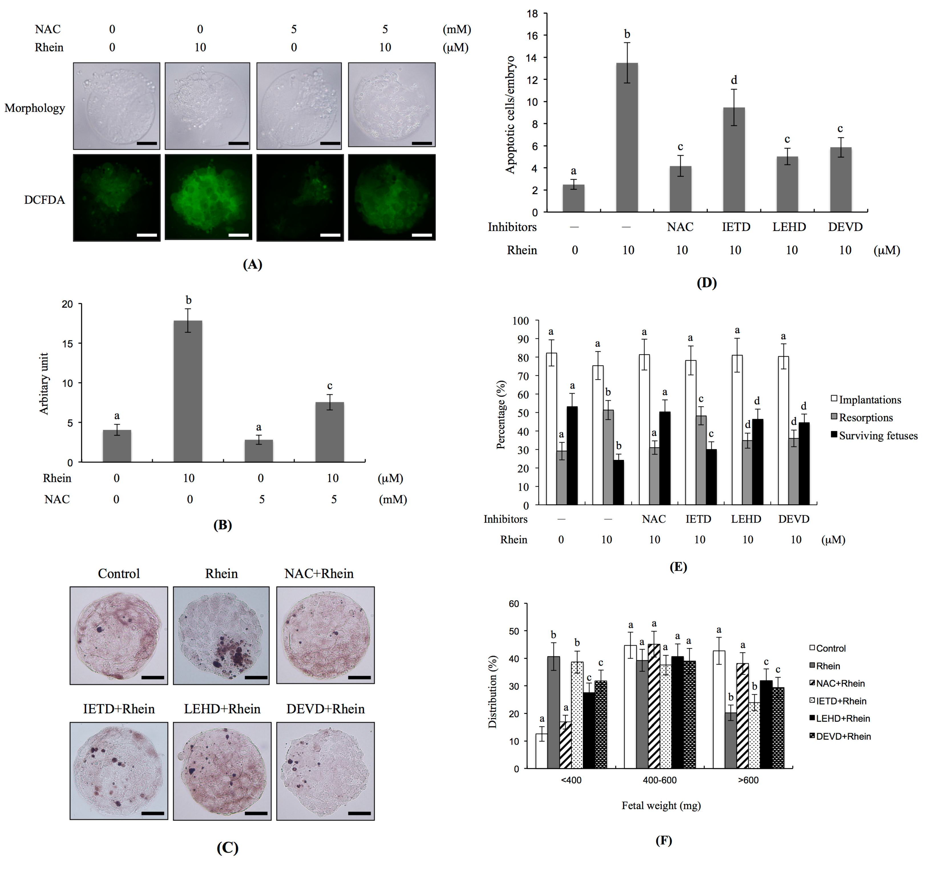 Ijms 18 02018 g005 550