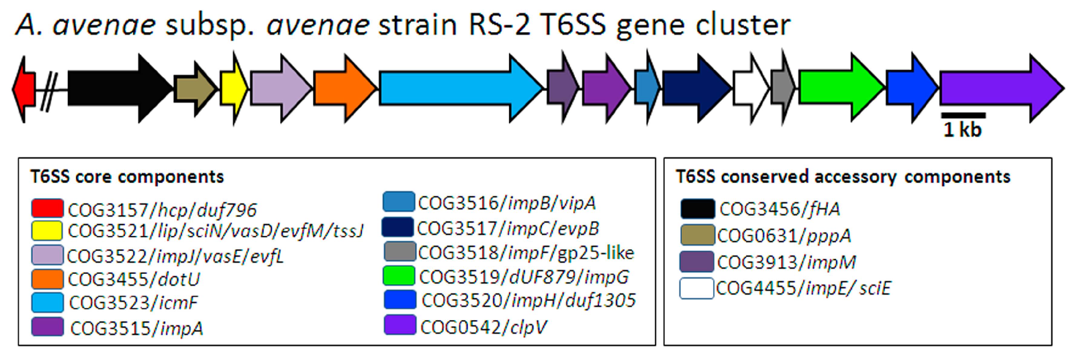 Ijms 18 02024 g001
