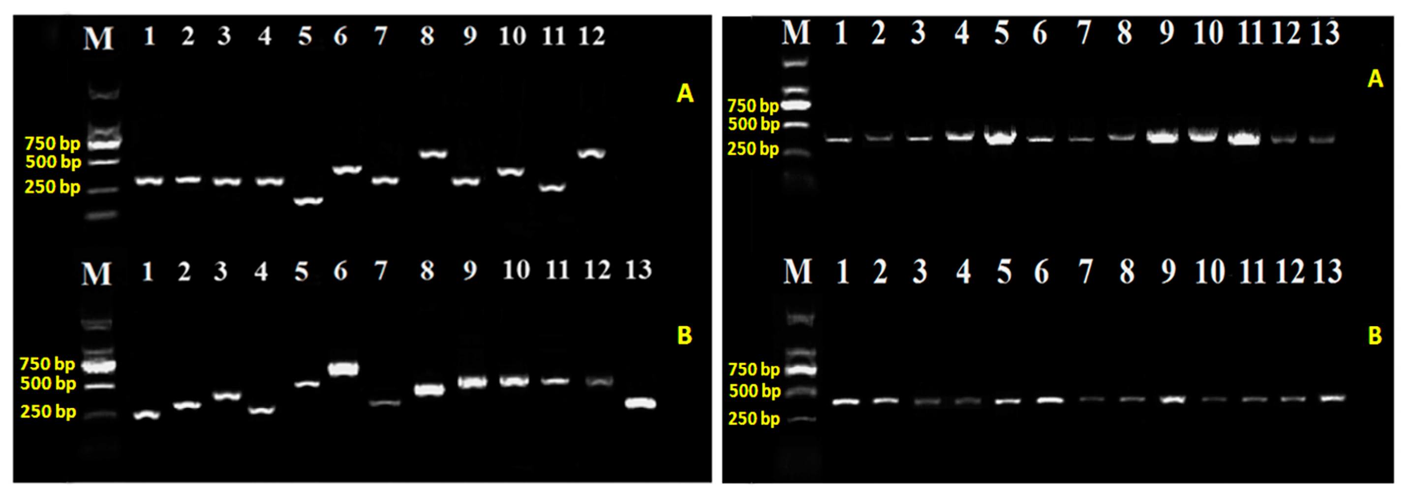 Ijms 18 02024 g002