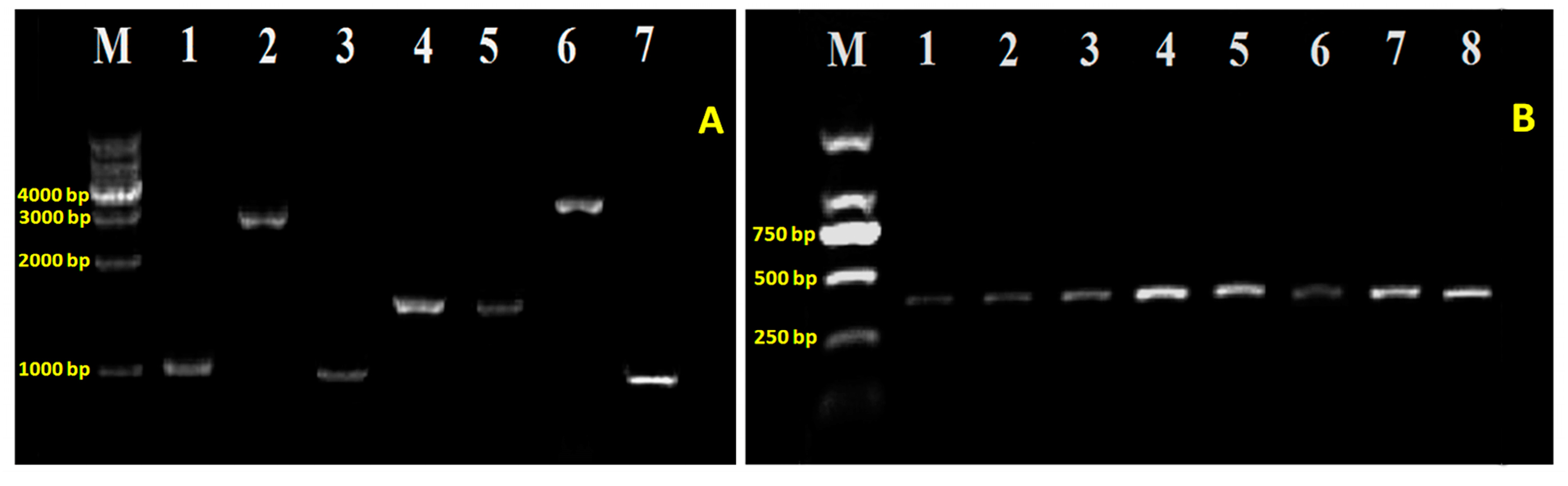 Ijms 18 02024 g003