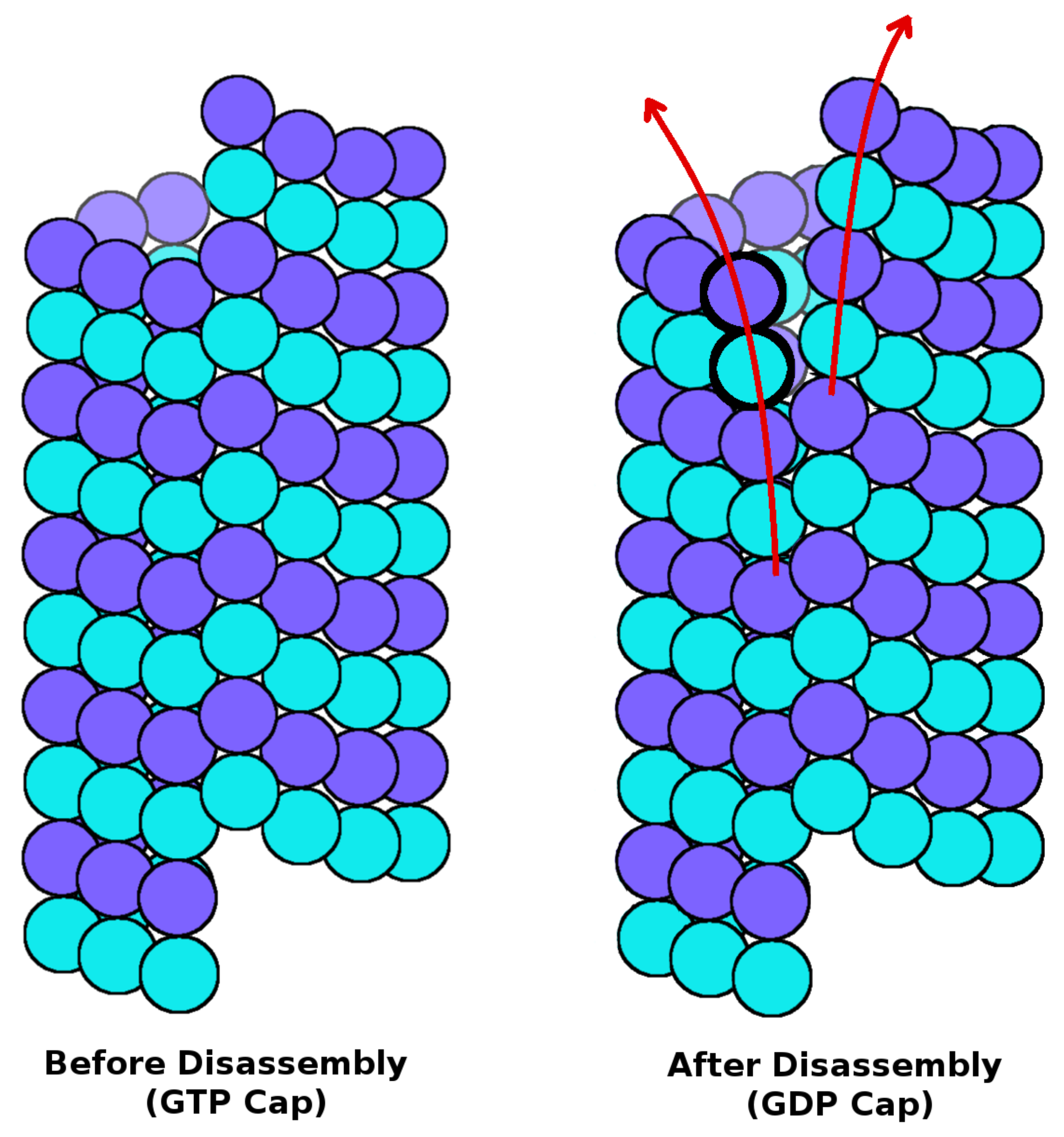 Ijms 18 02042 g001 550