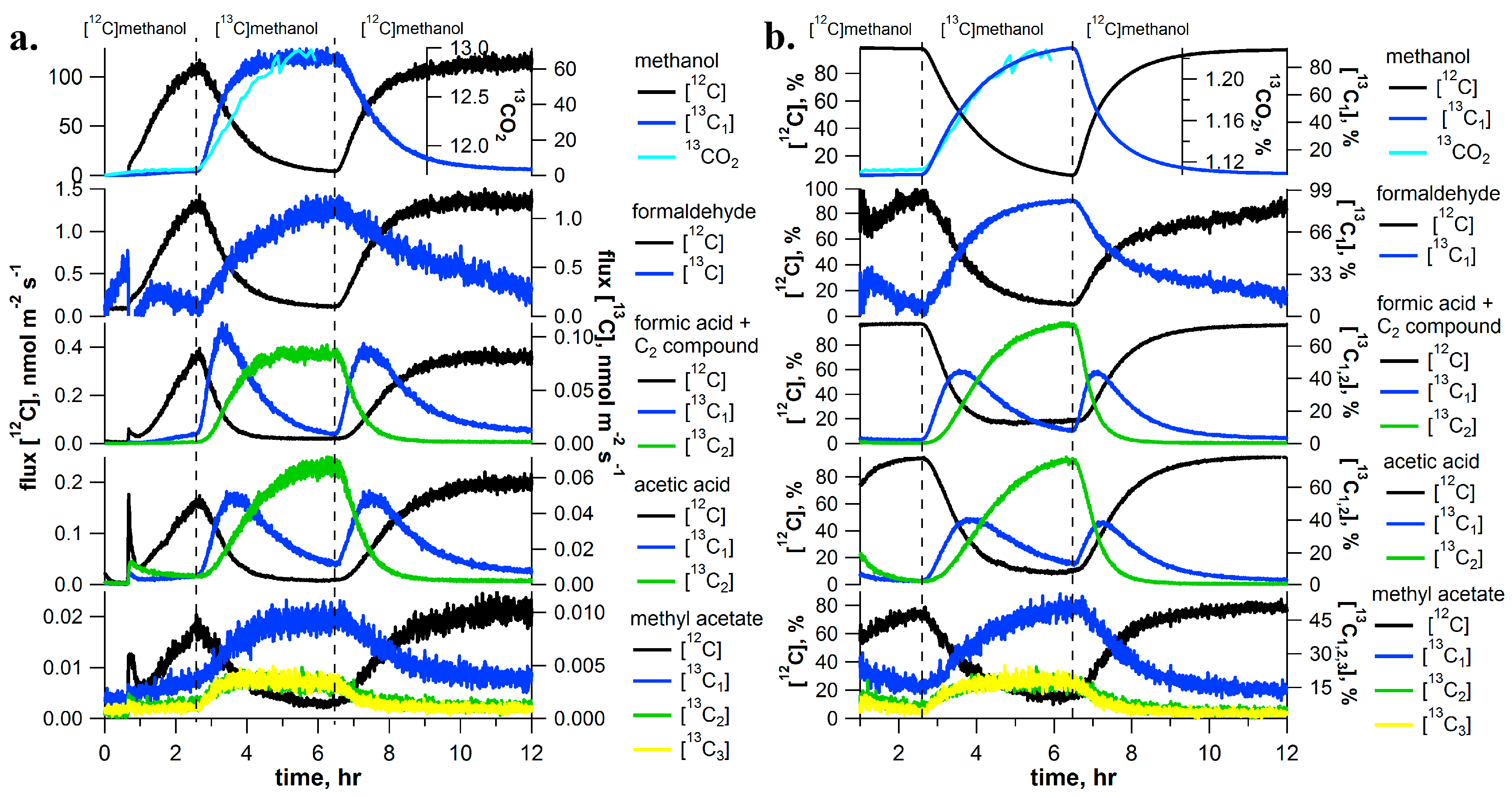 Ijms 18 02045 g001 Ijms 18 02045 g001