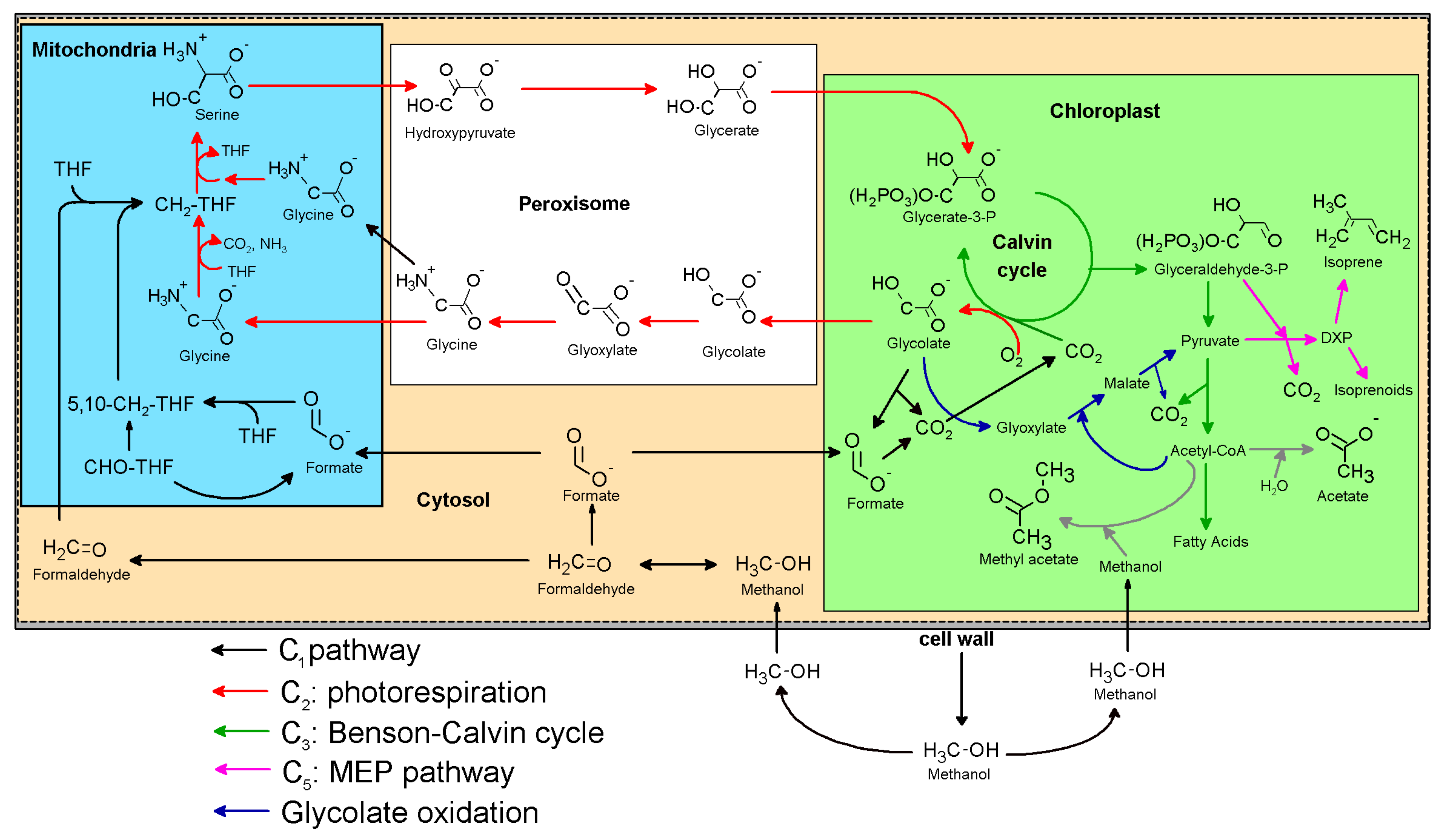 Ijms 18 02045 g007 Ijms 18 02045 g007