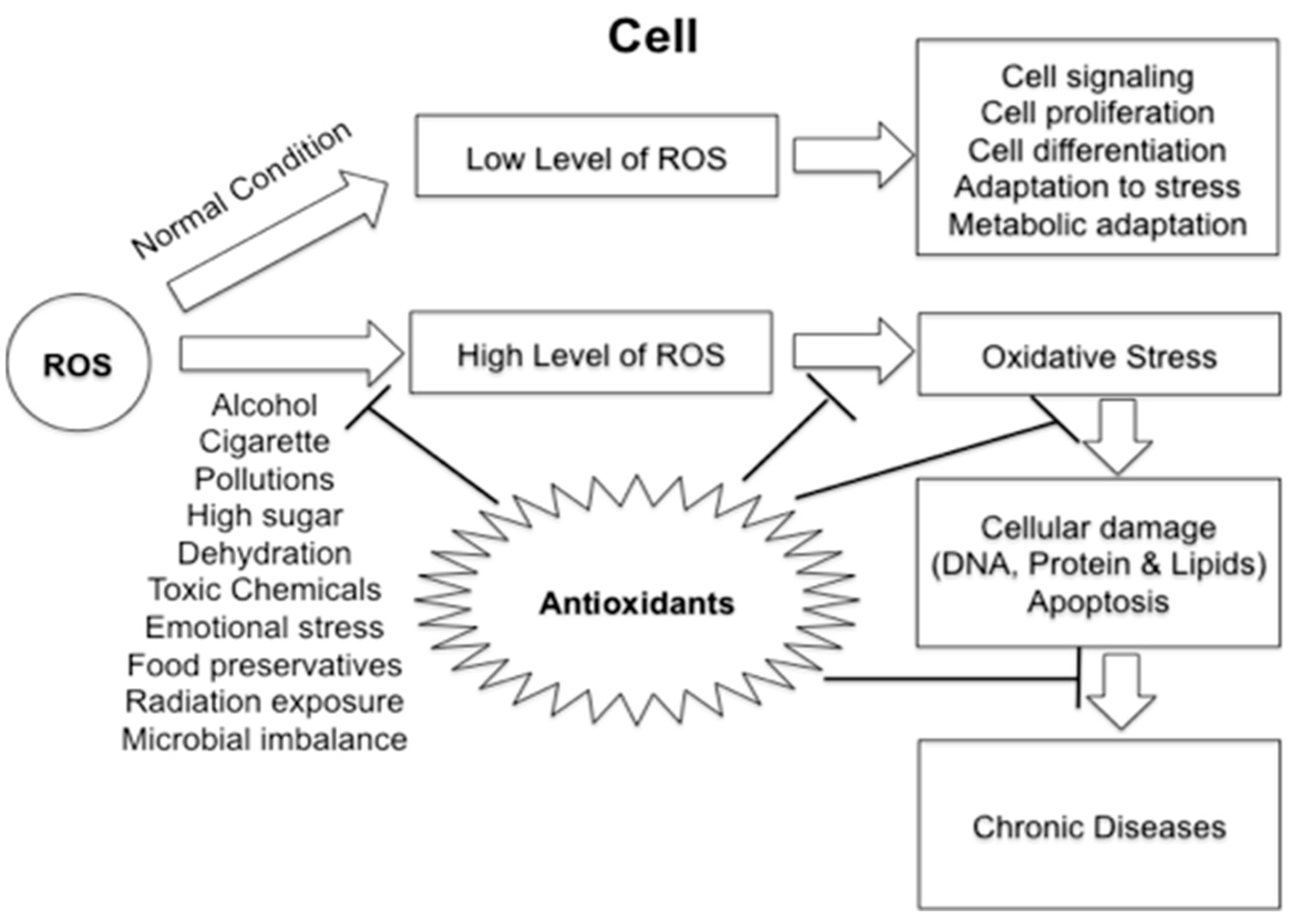 Ijms 18 02050 g001 Ijms 18 02050 g001