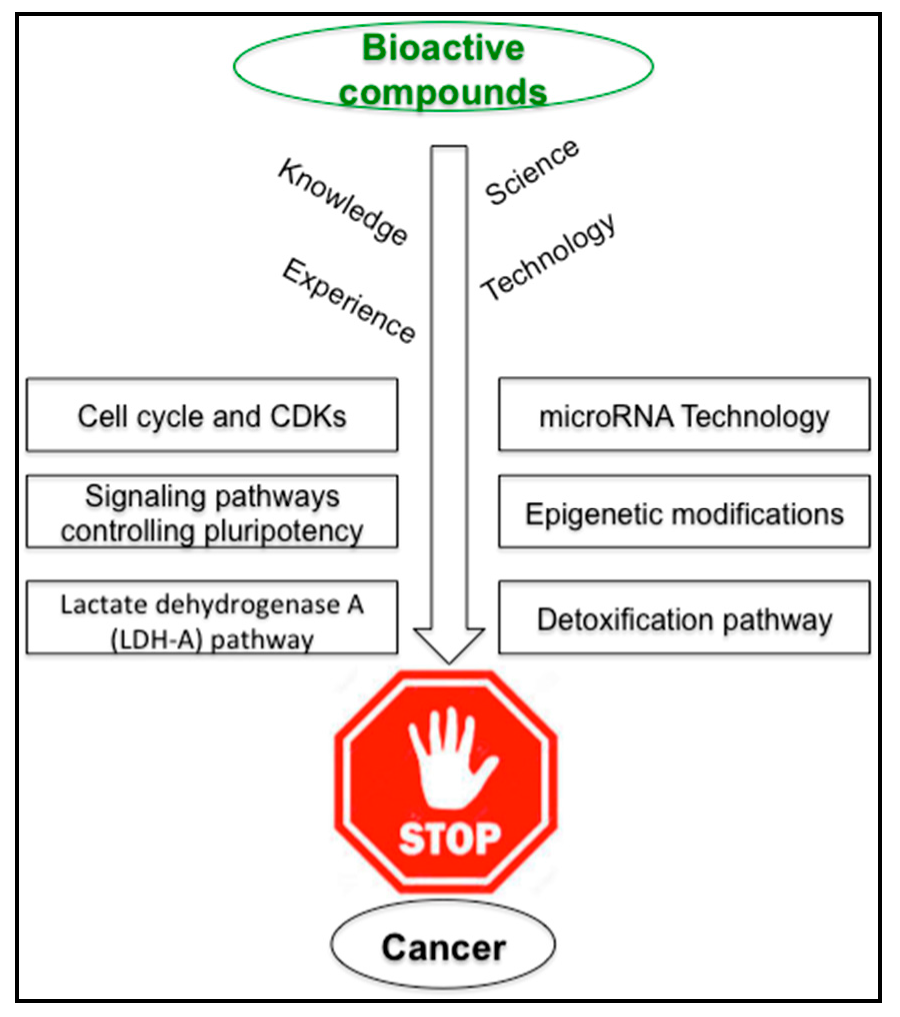 Ijms 18 02050 g002 Ijms 18 02050 g002