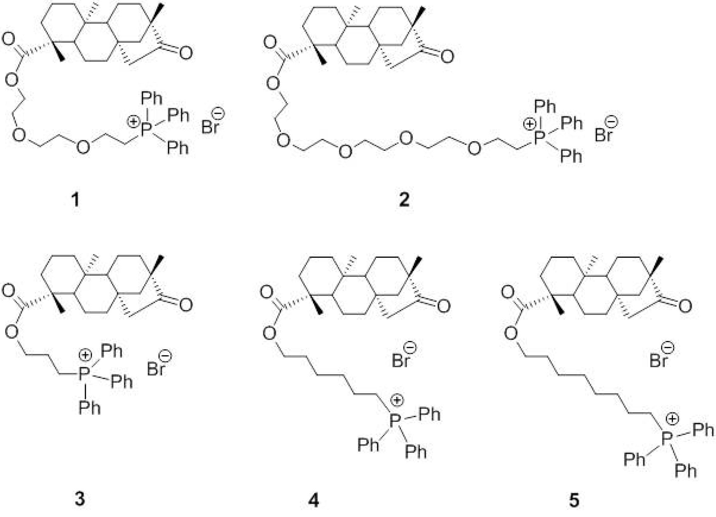 Ijms 18 02060 g006 550