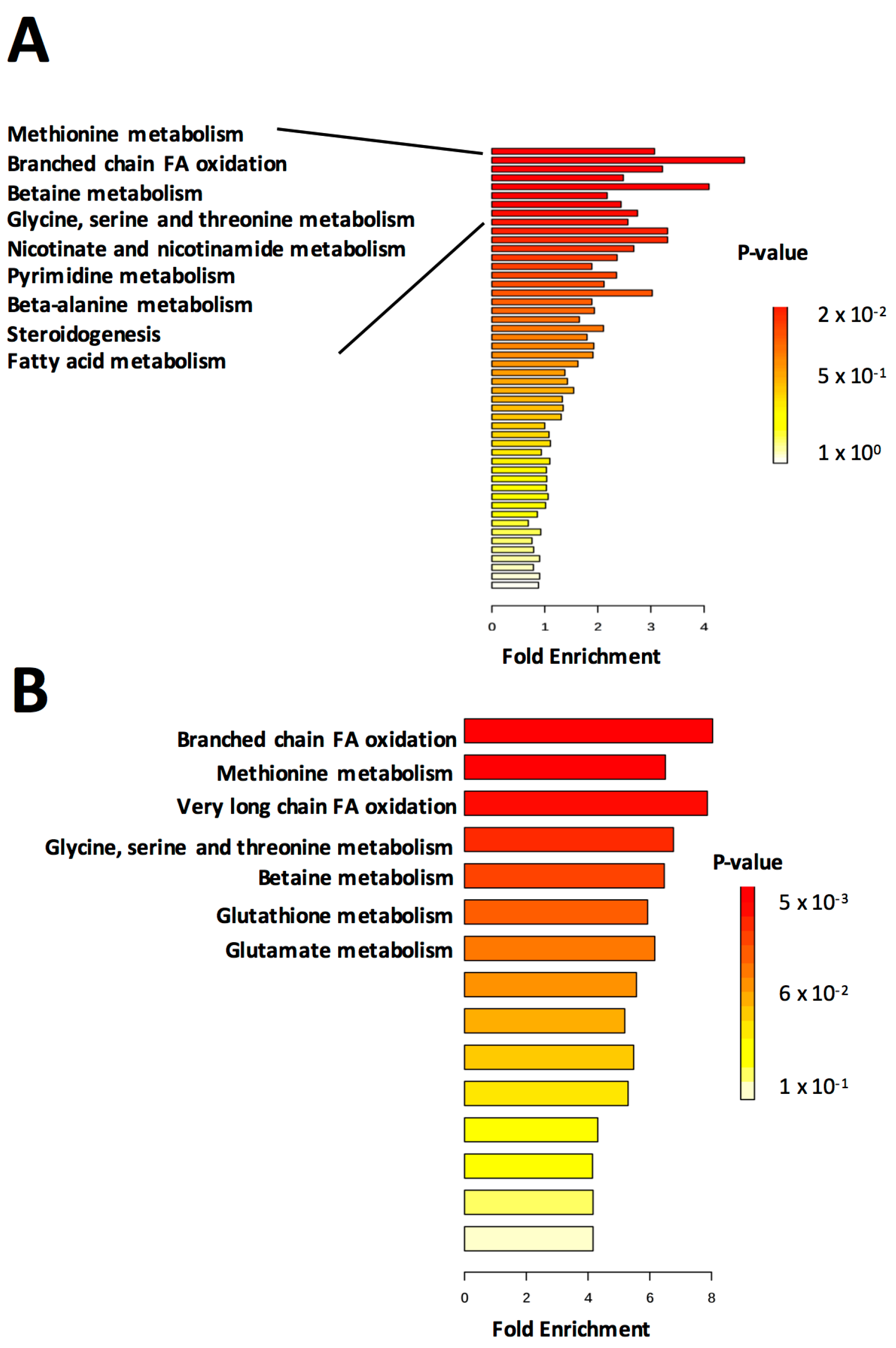 Ijms 18 02062 g002 Ijms 18 02062 g002
