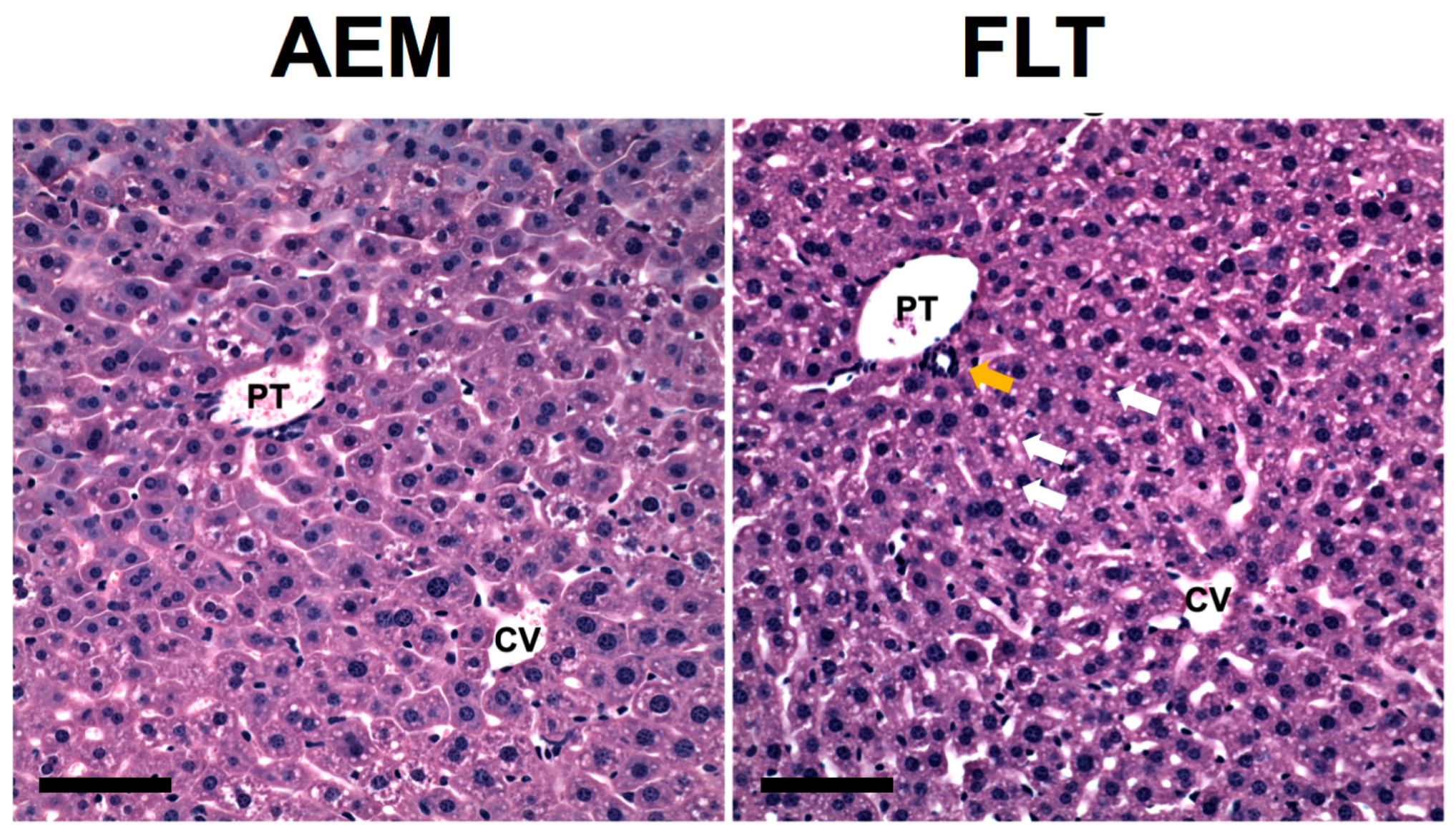 Ijms 18 02062 g003 Ijms 18 02062 g003