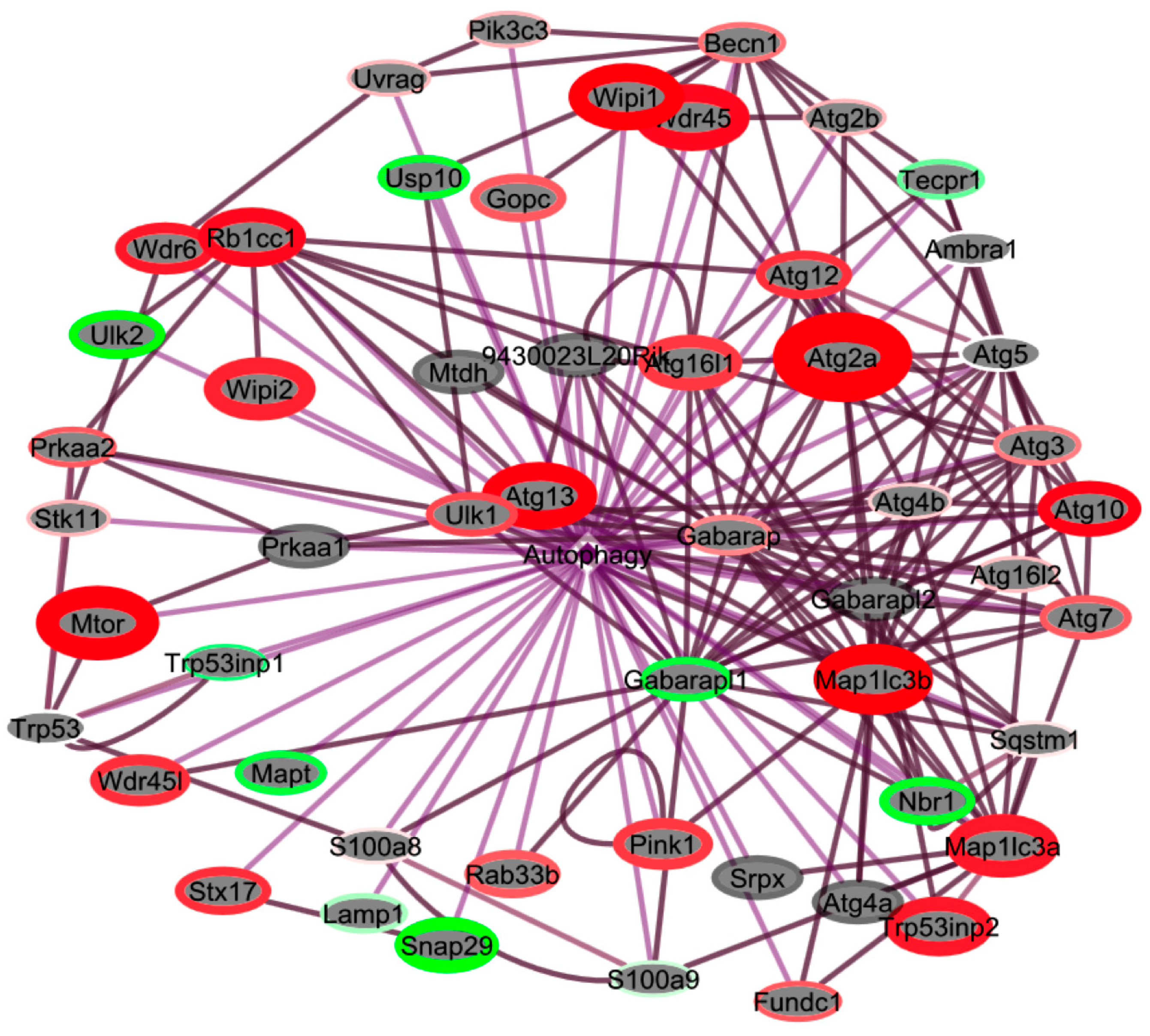 Ijms 18 02062 g008 Ijms 18 02062 g008