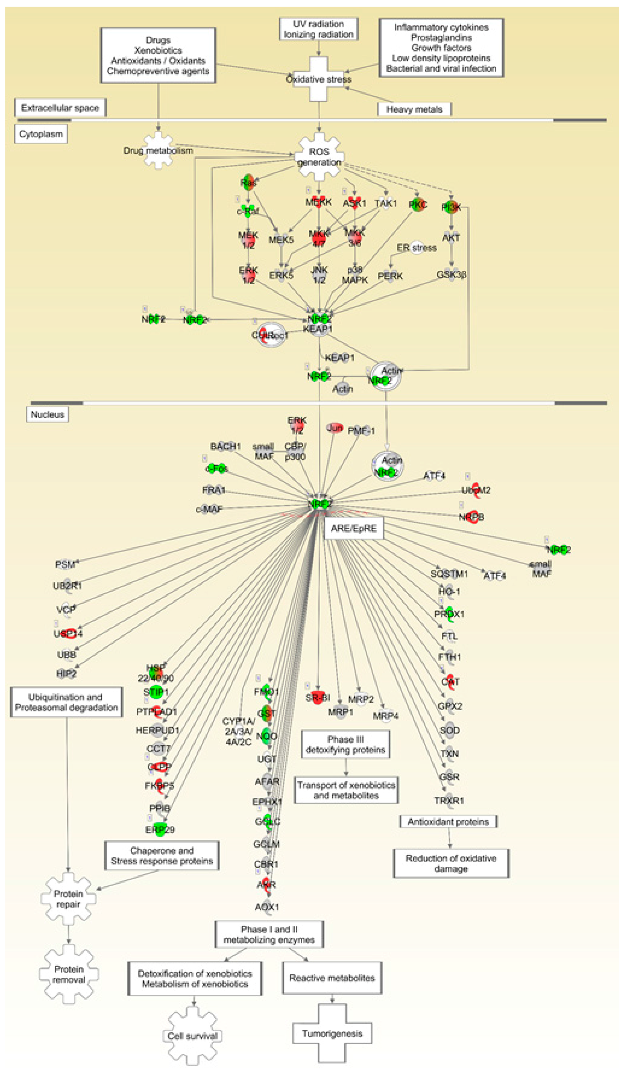 Ijms 18 02062 g009 Ijms 18 02062 g009