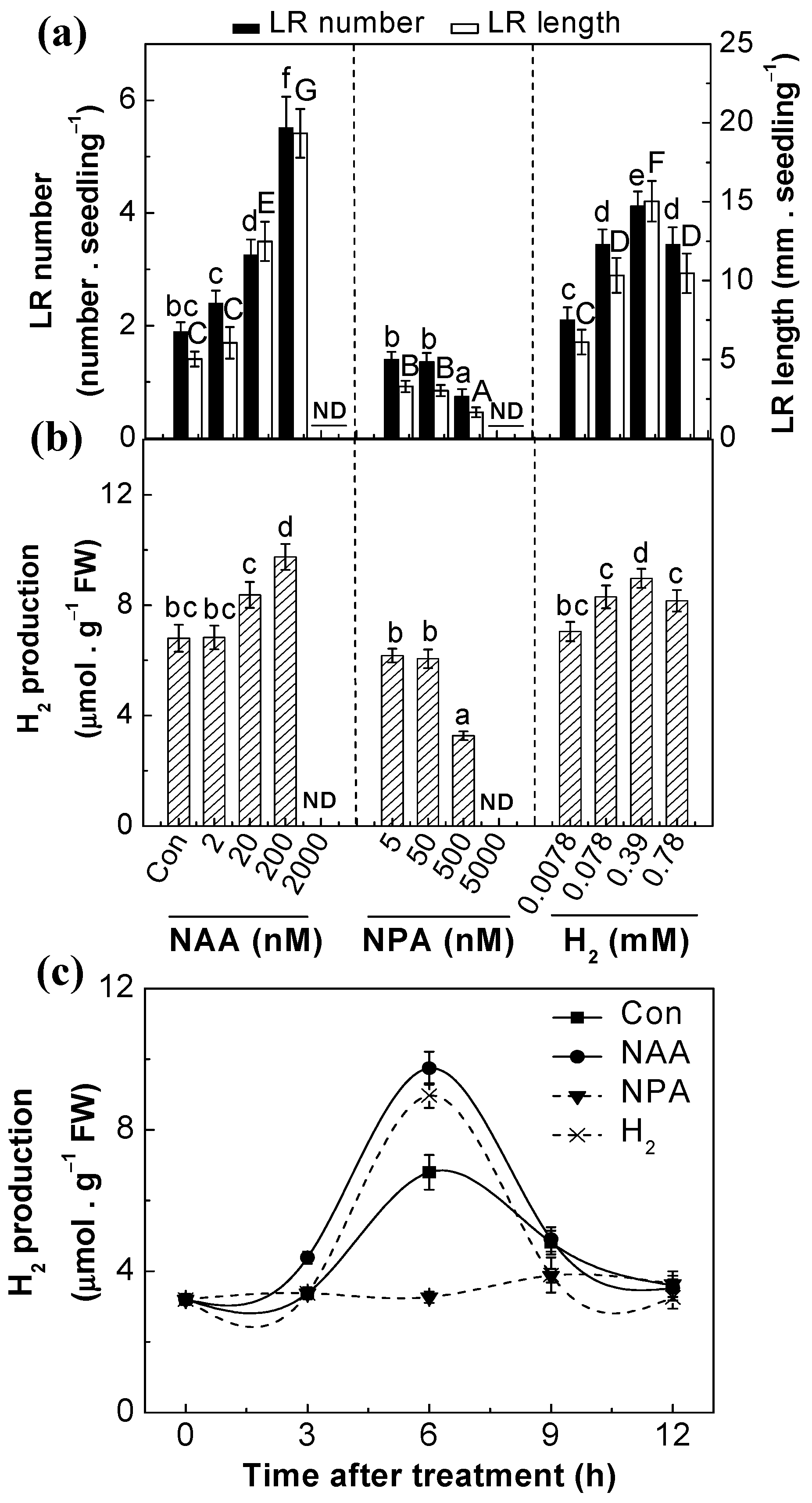 Ijms 18 02084 g001 Ijms 18 02084 g001