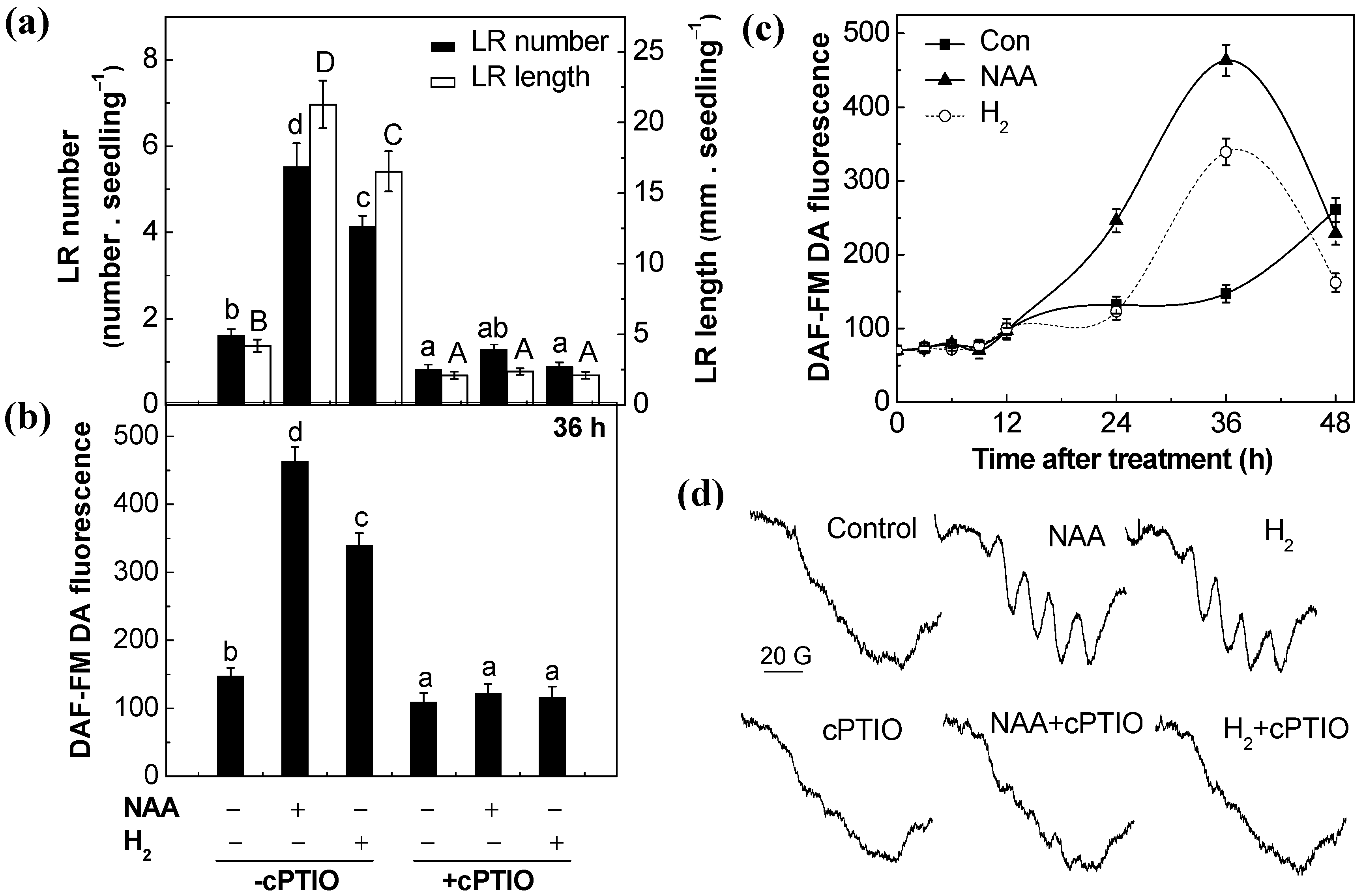 Ijms 18 02084 g003 Ijms 18 02084 g003