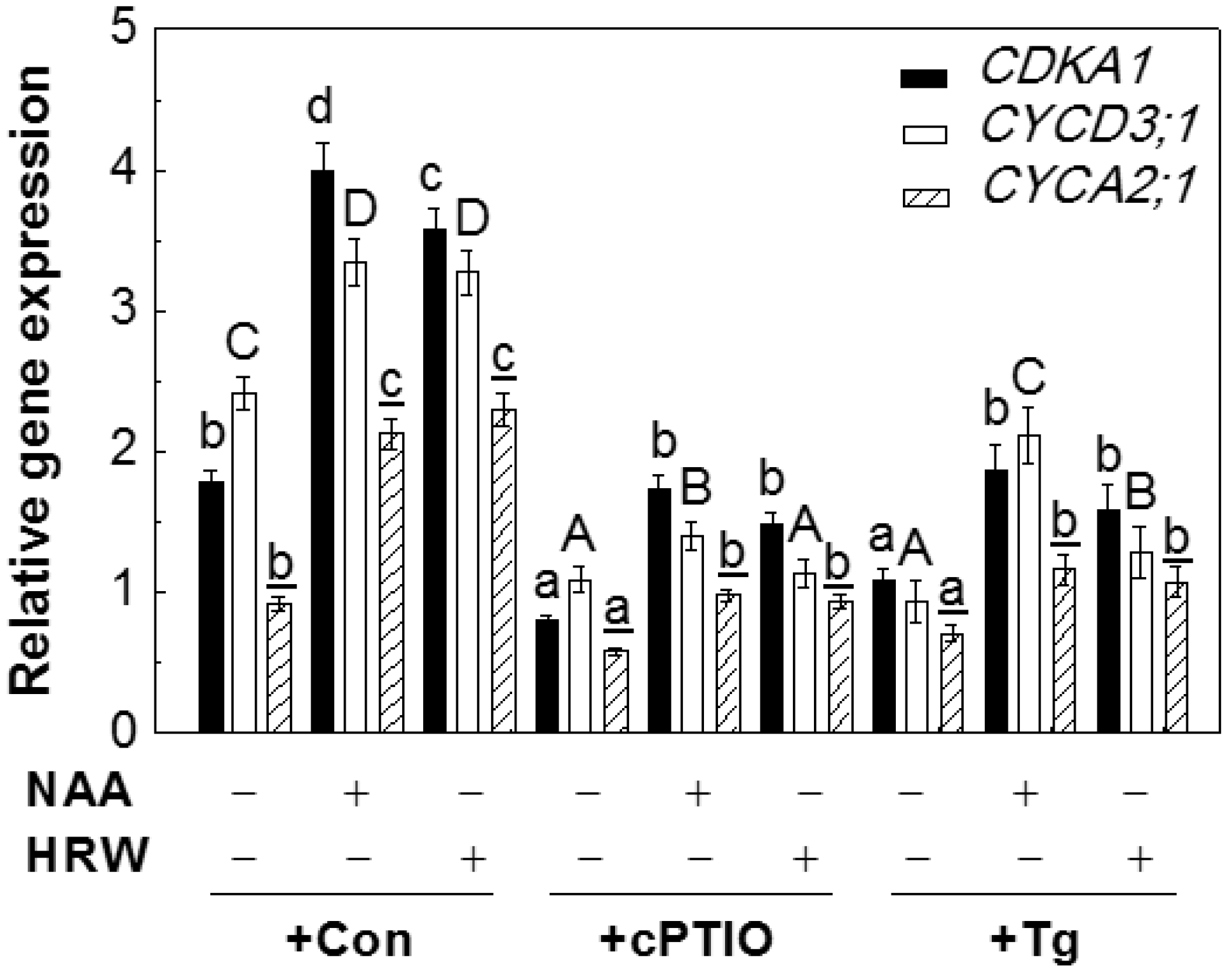 Ijms 18 02084 g005 Ijms 18 02084 g005