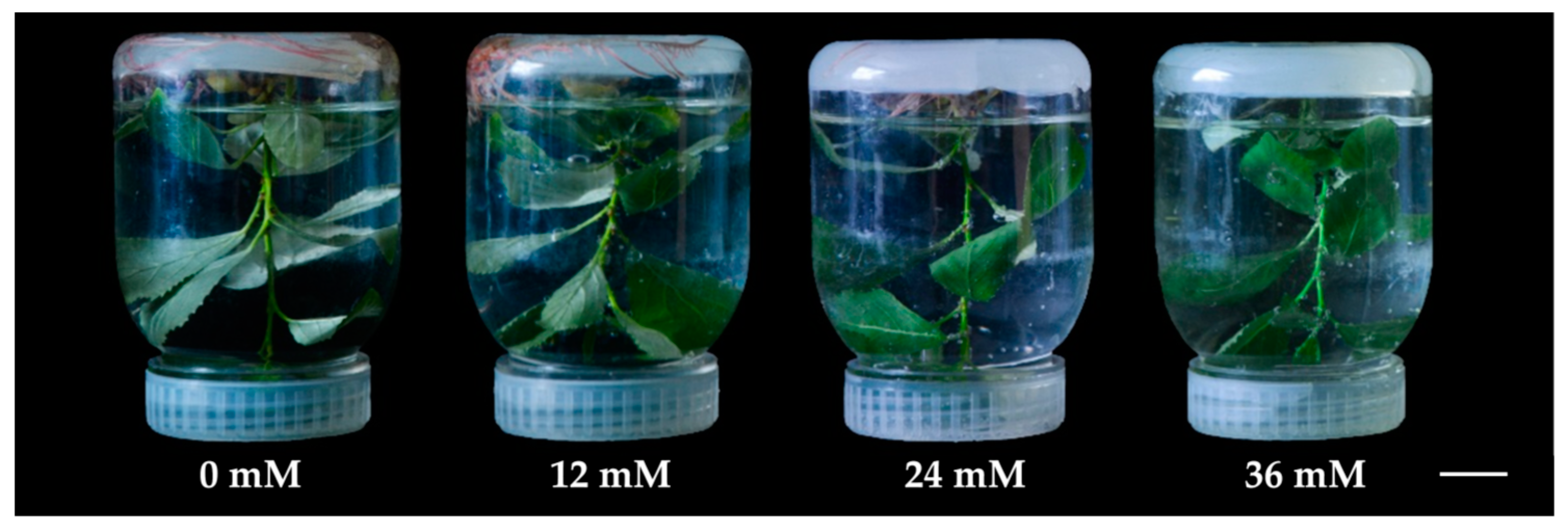 Ijms 18 02085 g001 Ijms 18 02085 g001