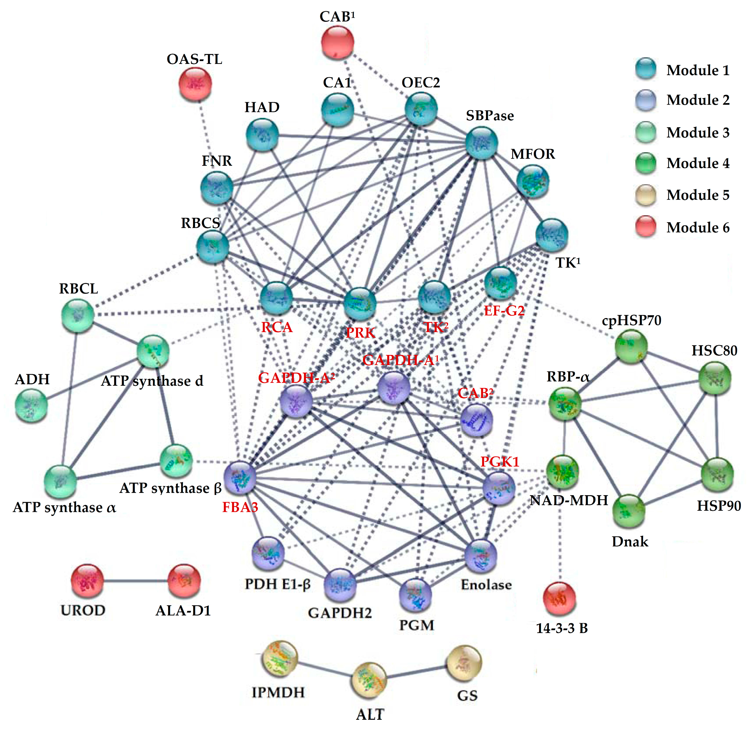 Ijms 18 02085 g008 Ijms 18 02085 g008