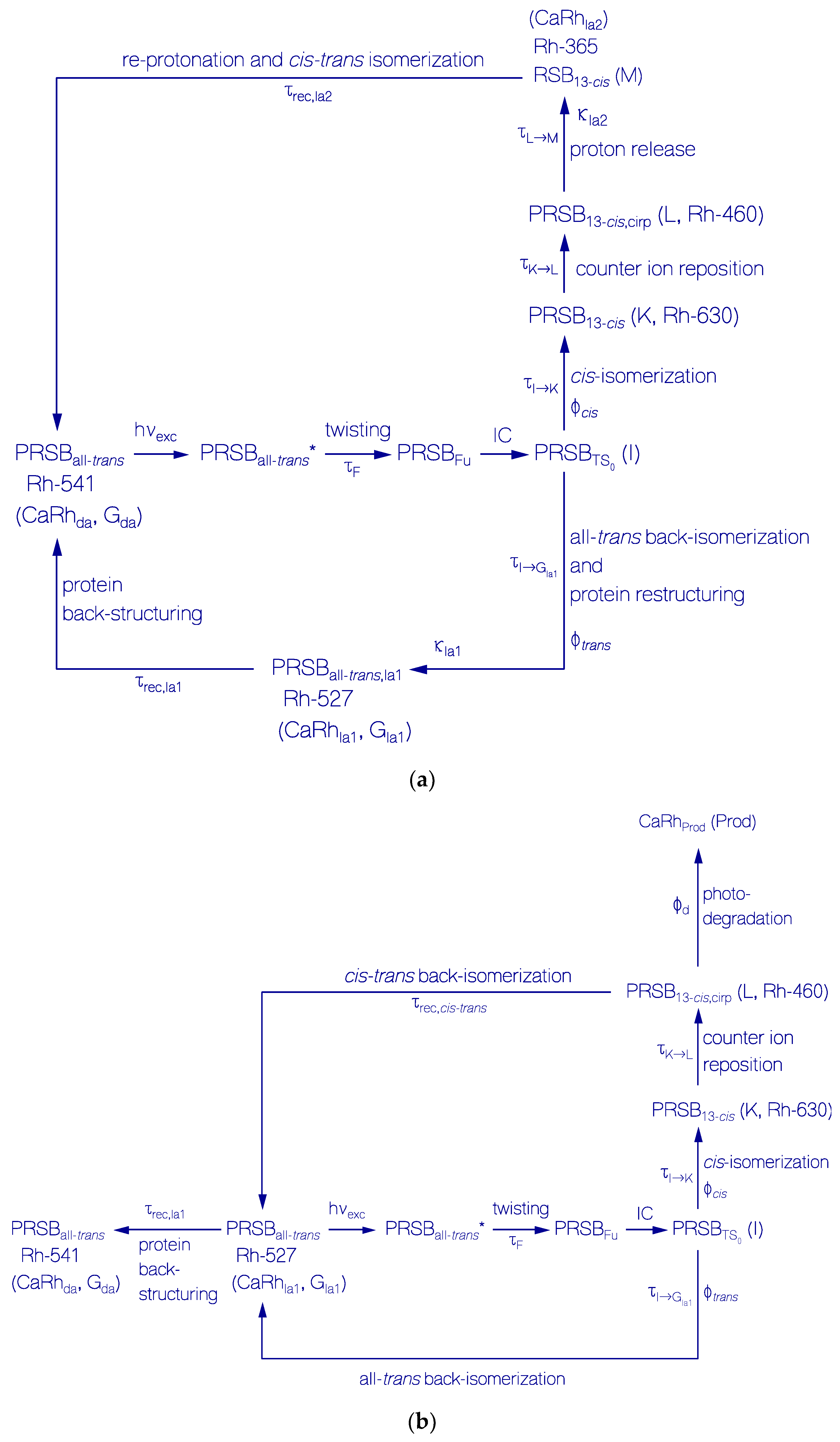 Ijms 18 02099 g013