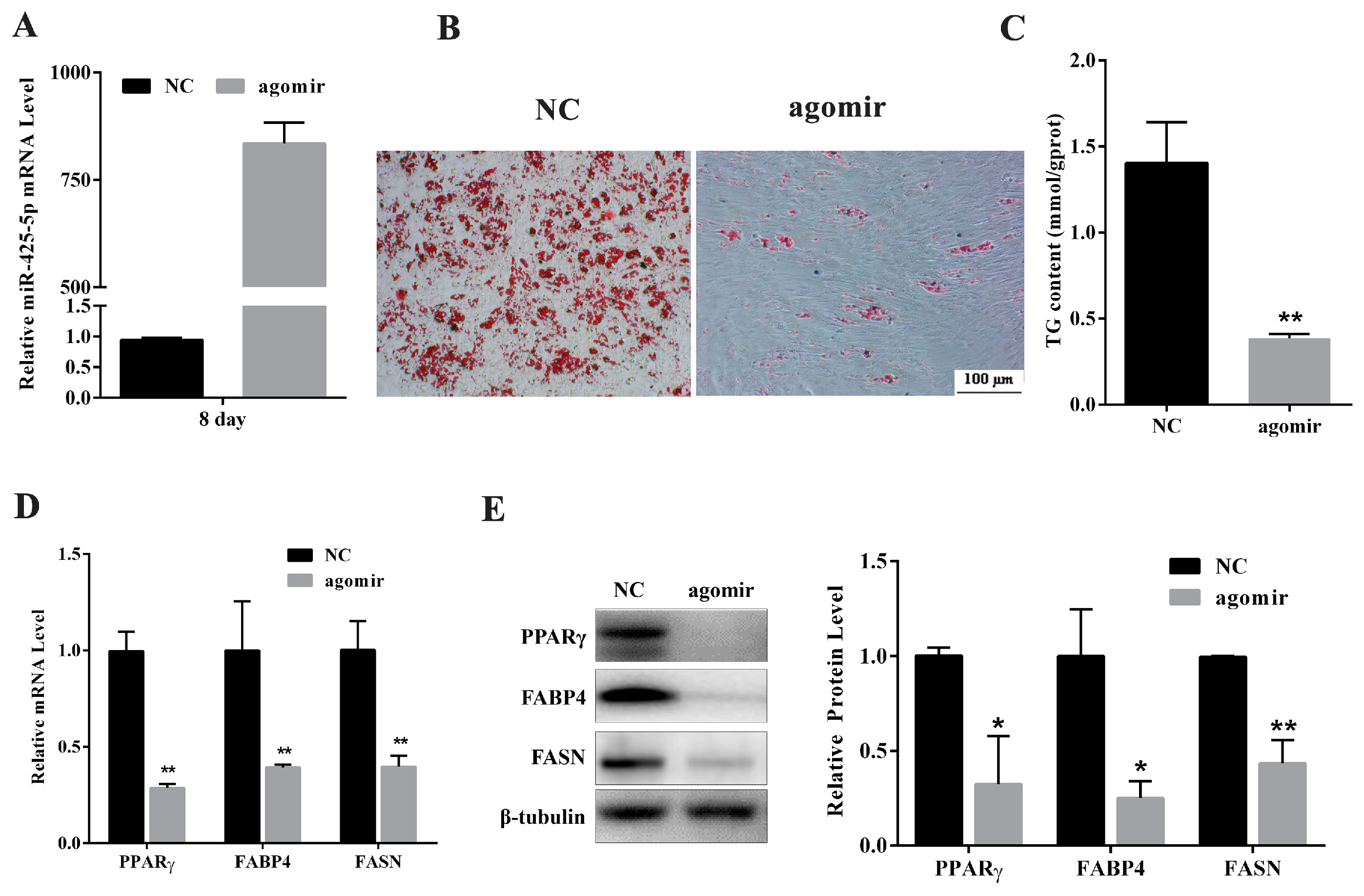 Ijms 18 02101 g002 550