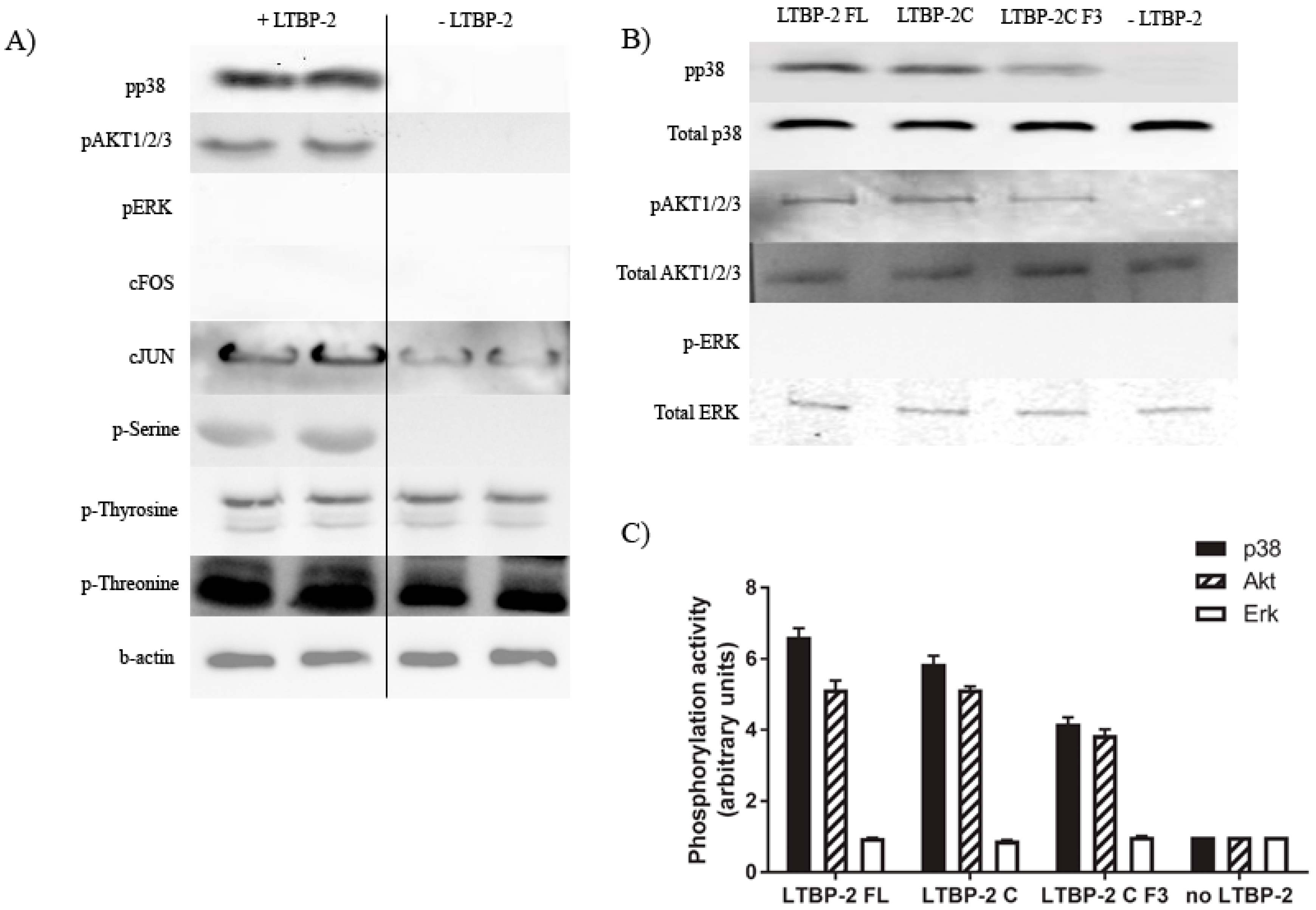 Ijms 18 02114 g006 550