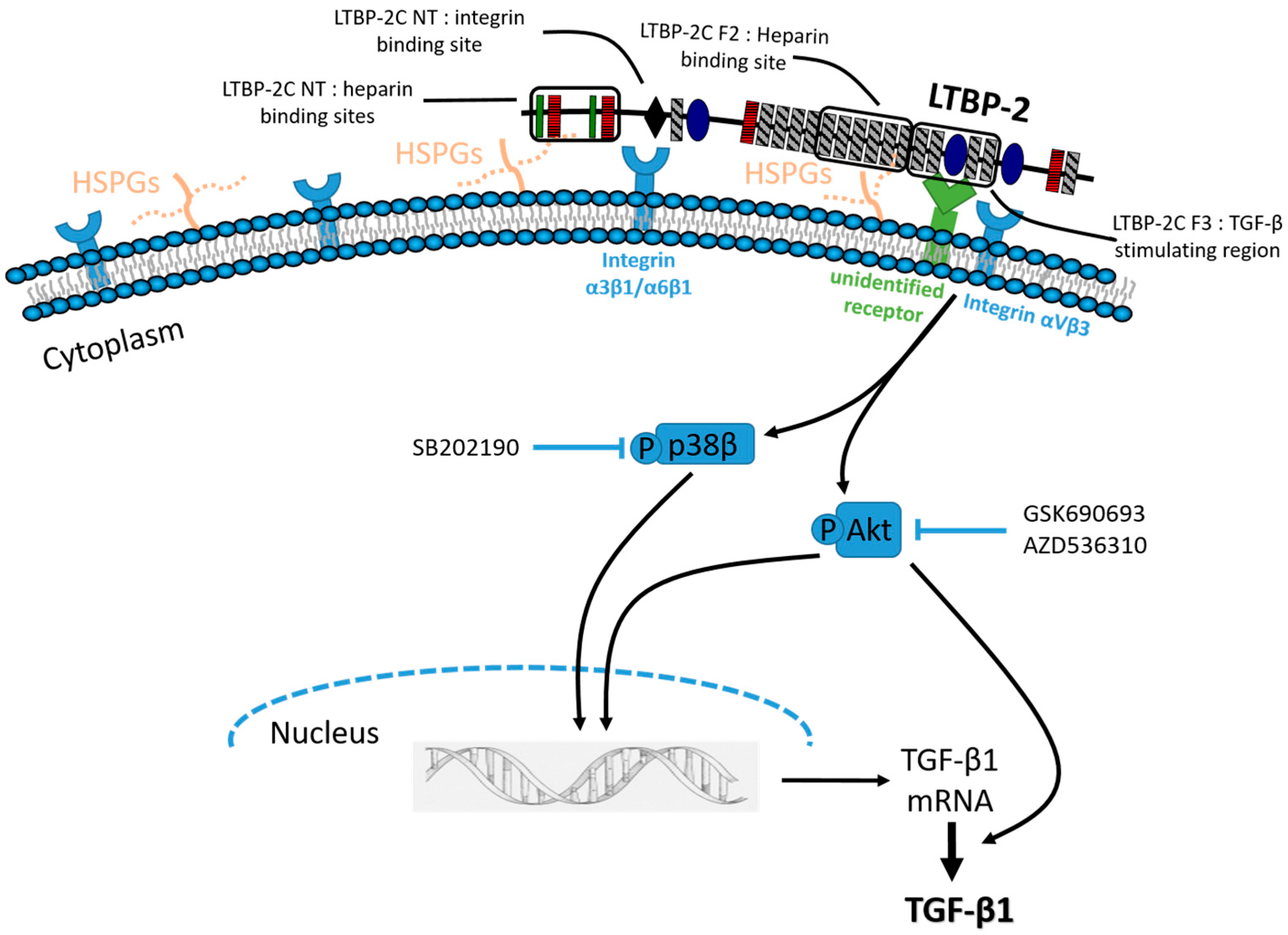 Ijms 18 02114 g009 550