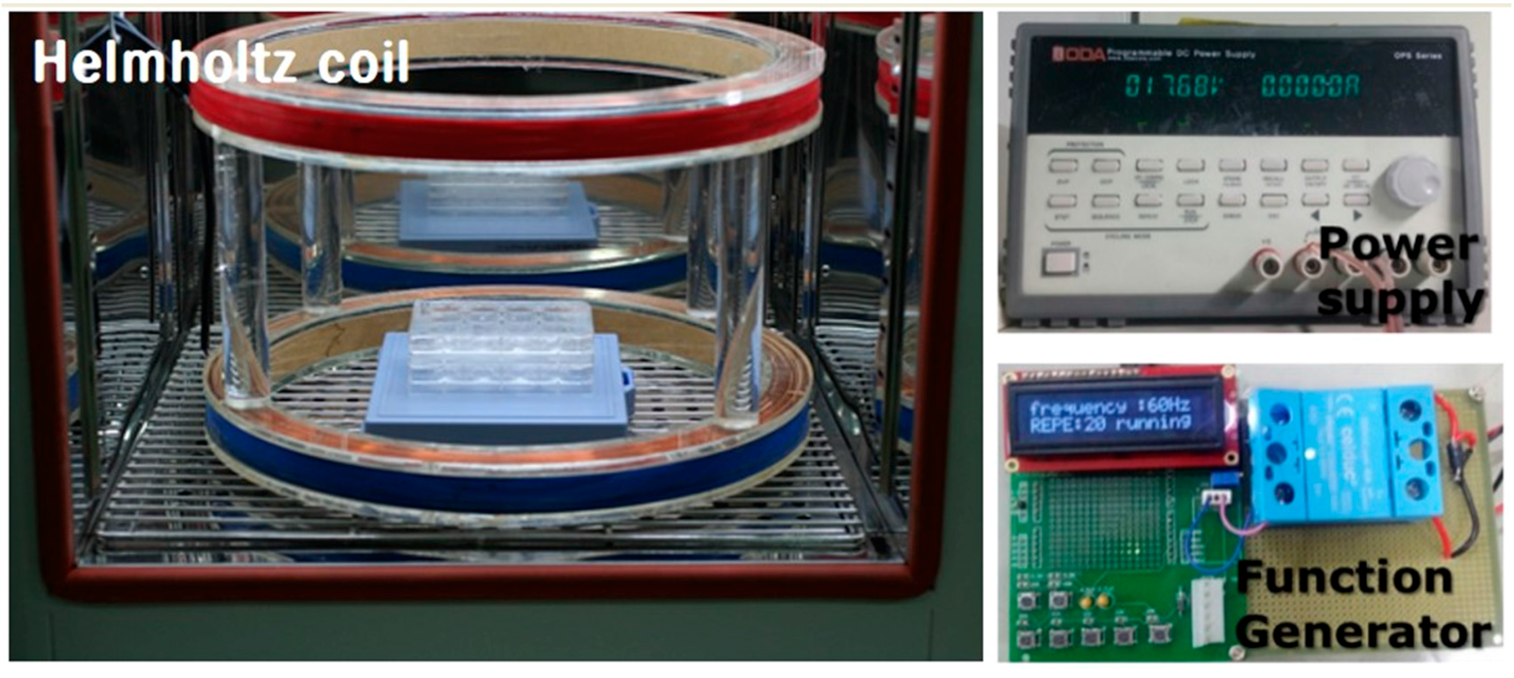 Ijms 18 02120 g001 550