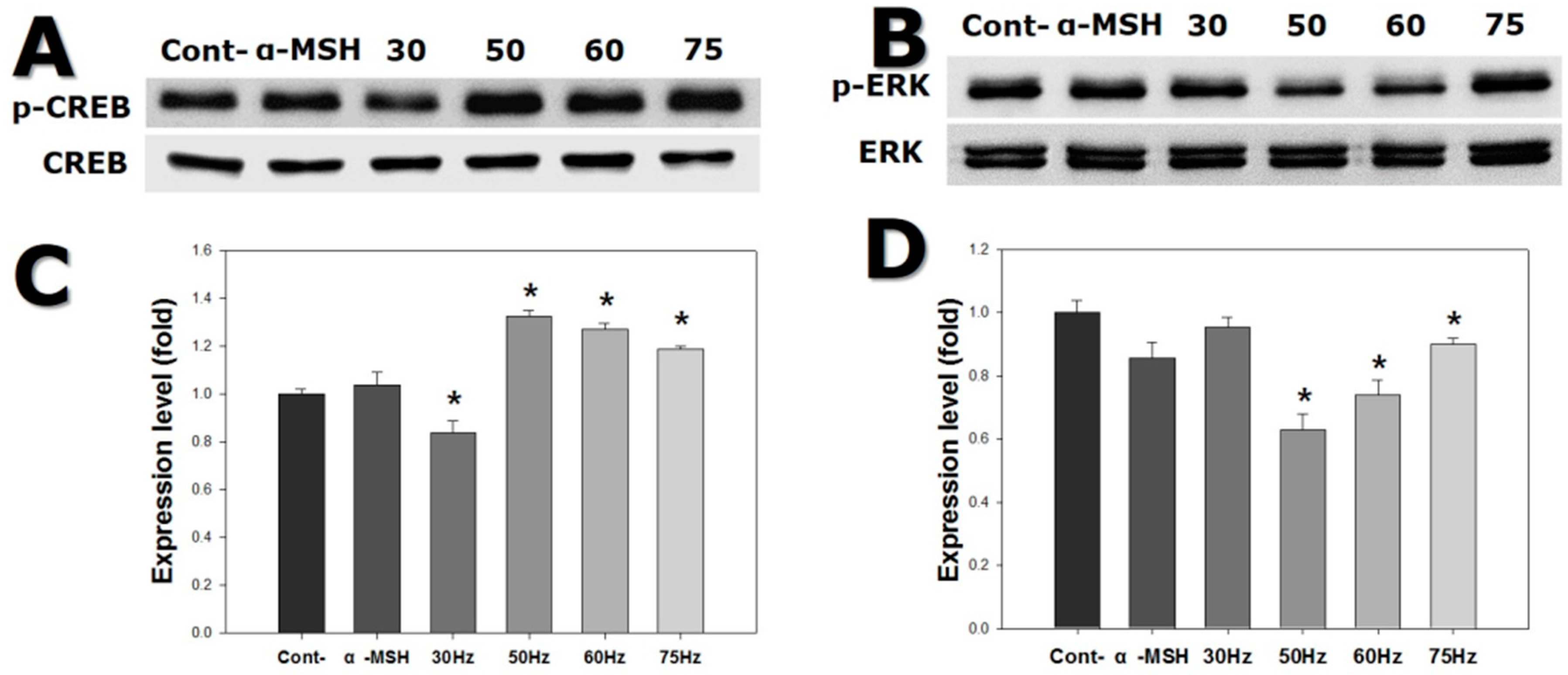 Ijms 18 02120 g006 550