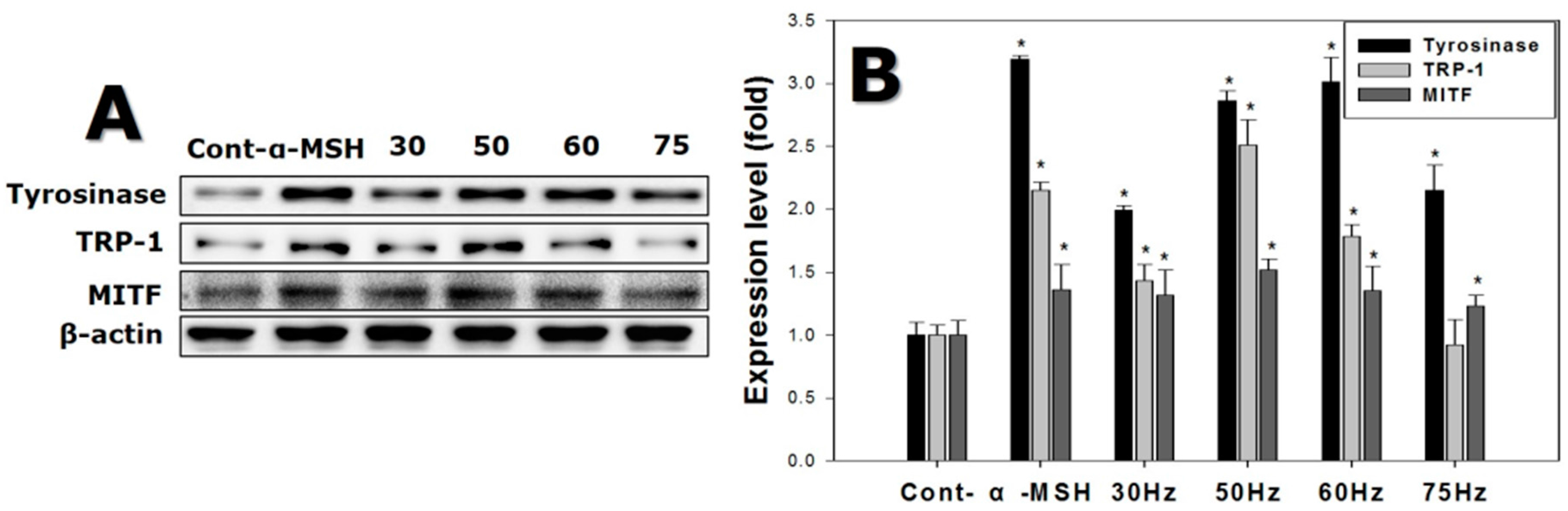 Ijms 18 02120 g008 550