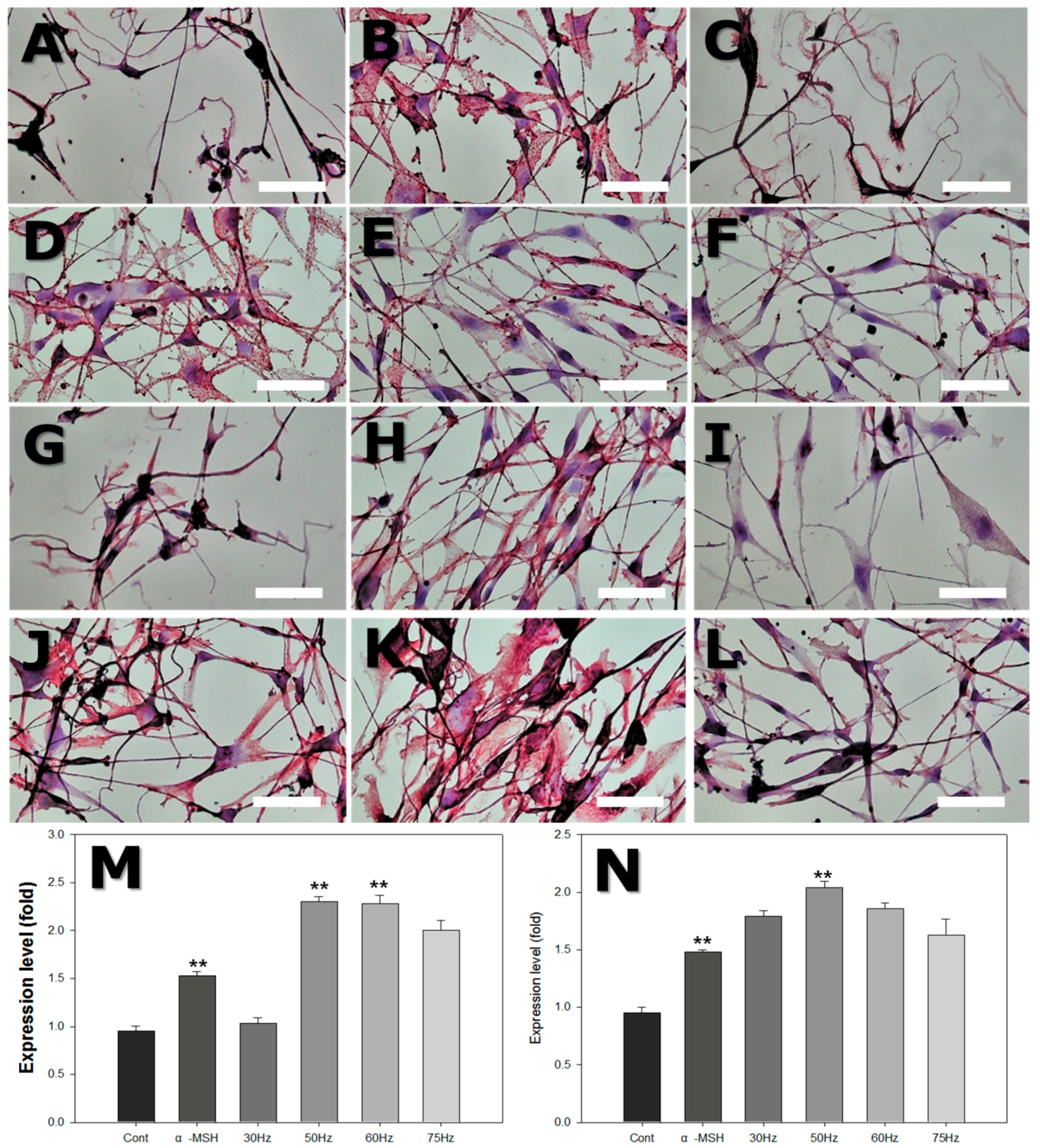 Ijms 18 02120 g009 550