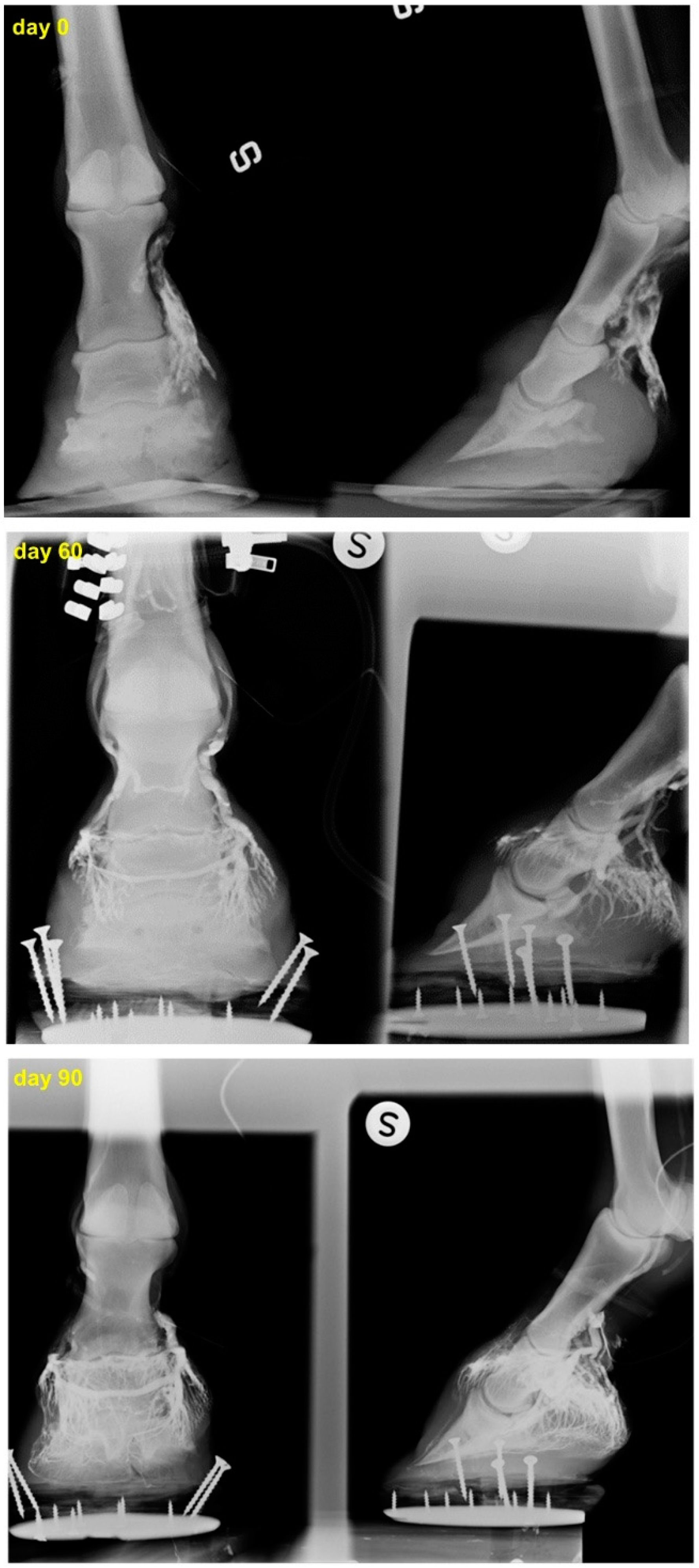 Ijms 18 02122 g002 Ijms 18 02122 g002