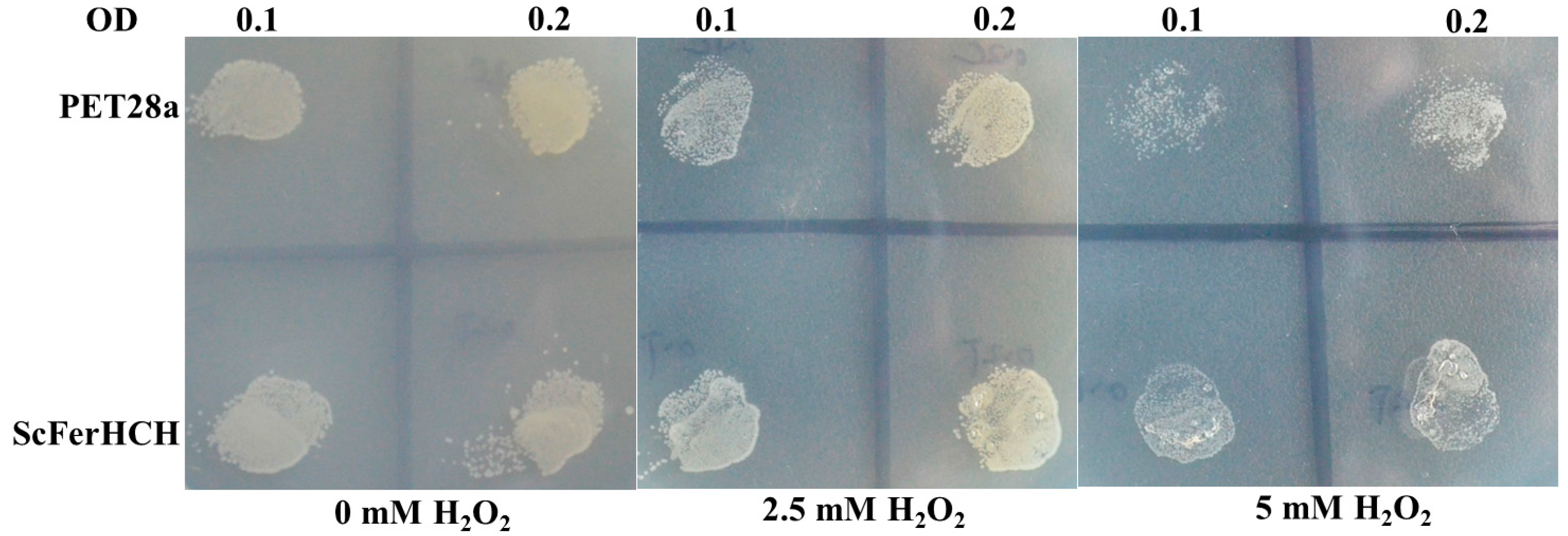 Ijms 18 02126 g008 Ijms 18 02126 g008