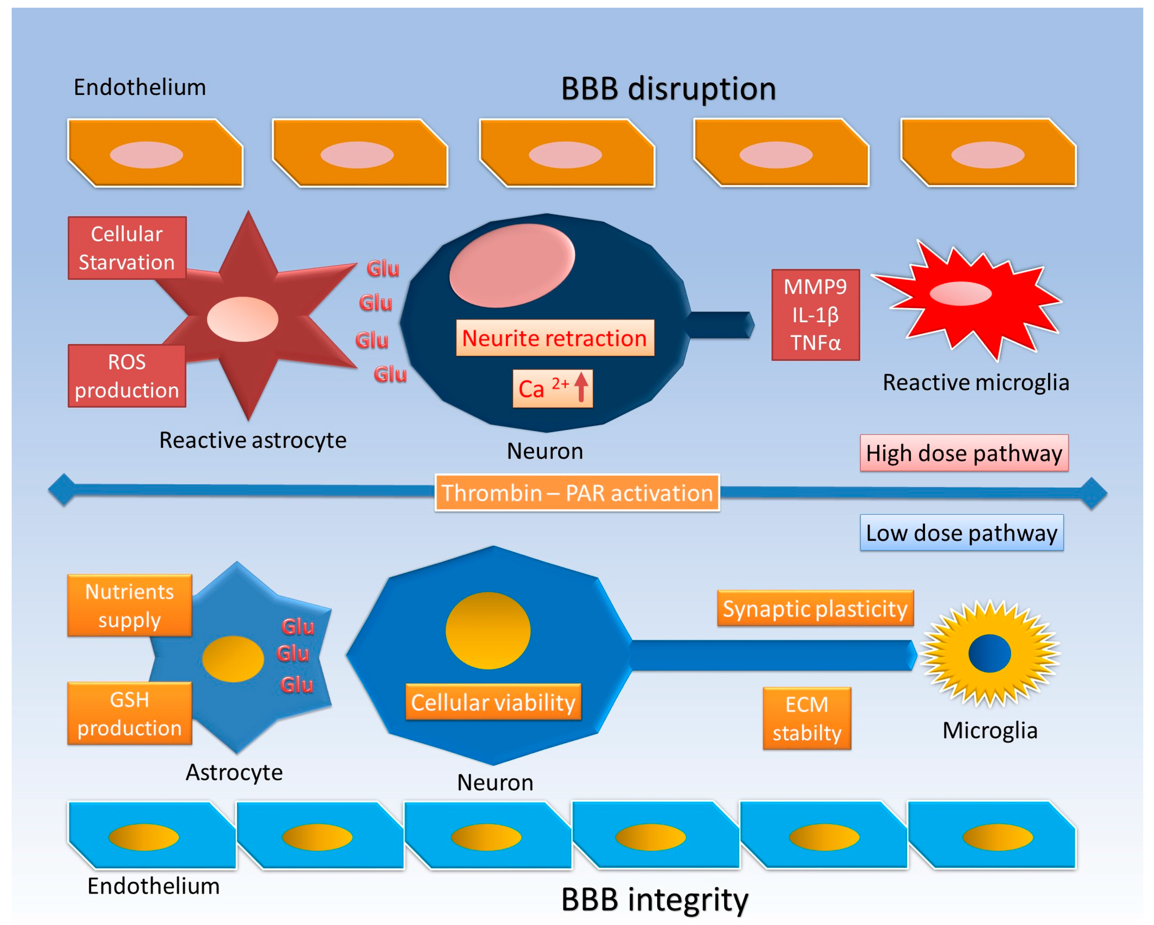 Ijms 18 02128 g001 550