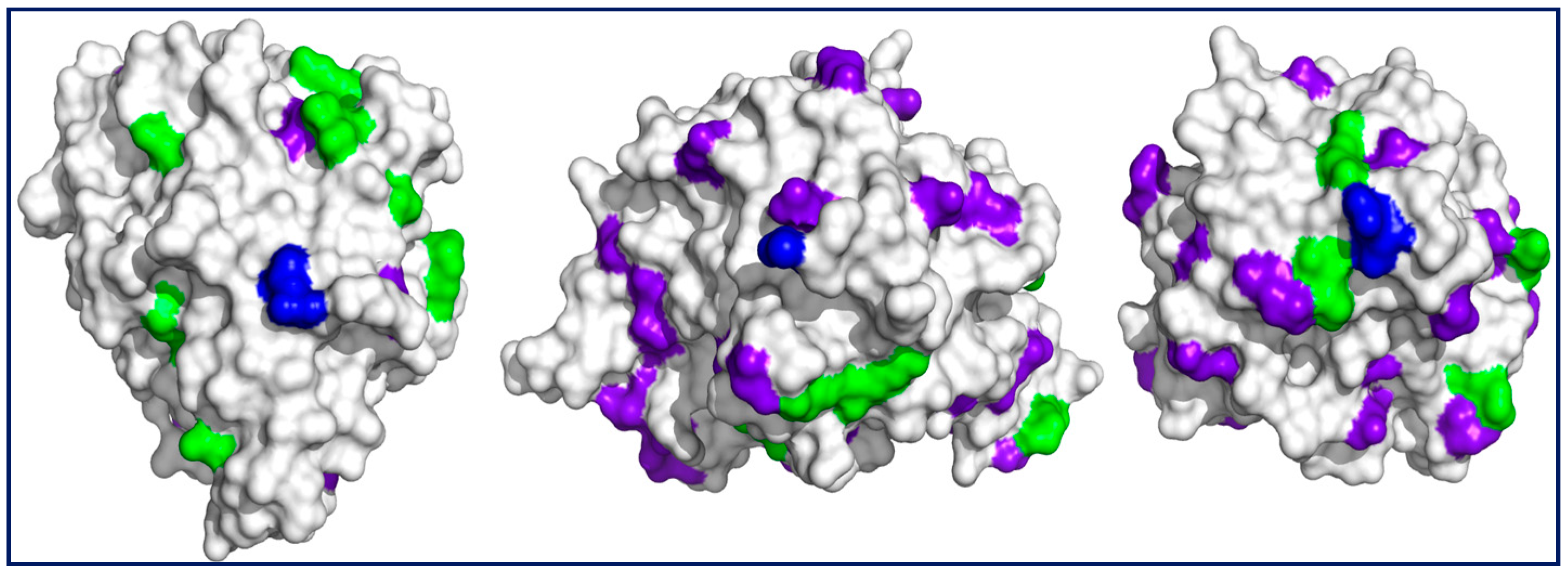 Ijms 18 02130 g002 Ijms 18 02130 g002