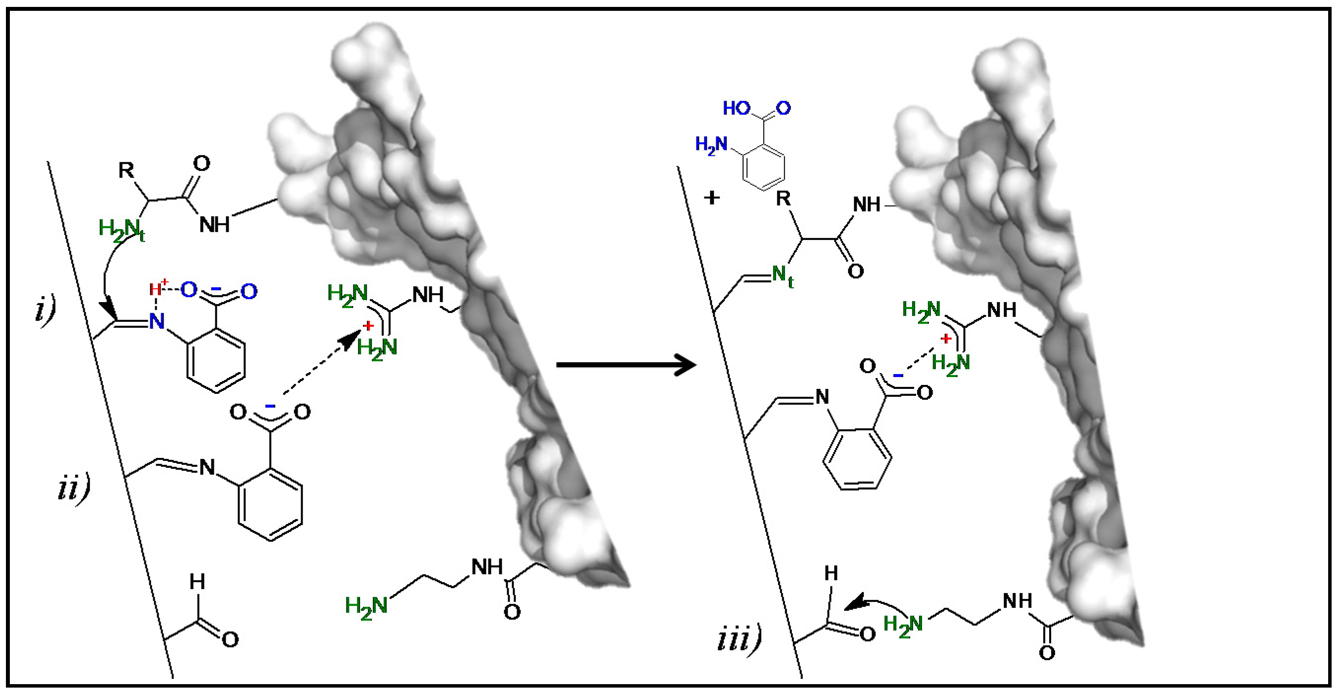 Ijms 18 02130 g003 Ijms 18 02130 g003
