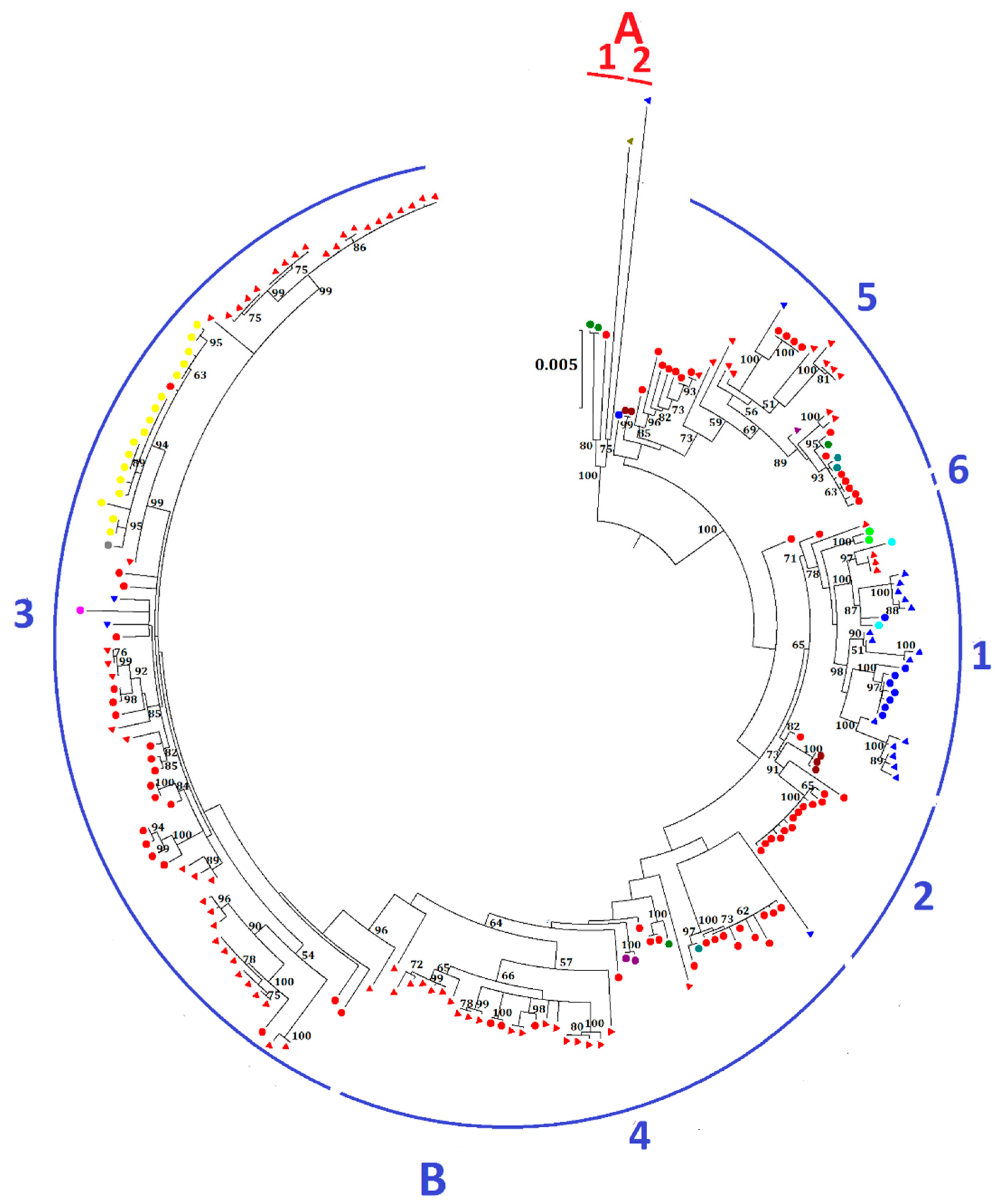 IJMS | Free Full-Text | Molecular Evolution of MERS Coronavirus: Dromedaries as a ...2850 x 3400