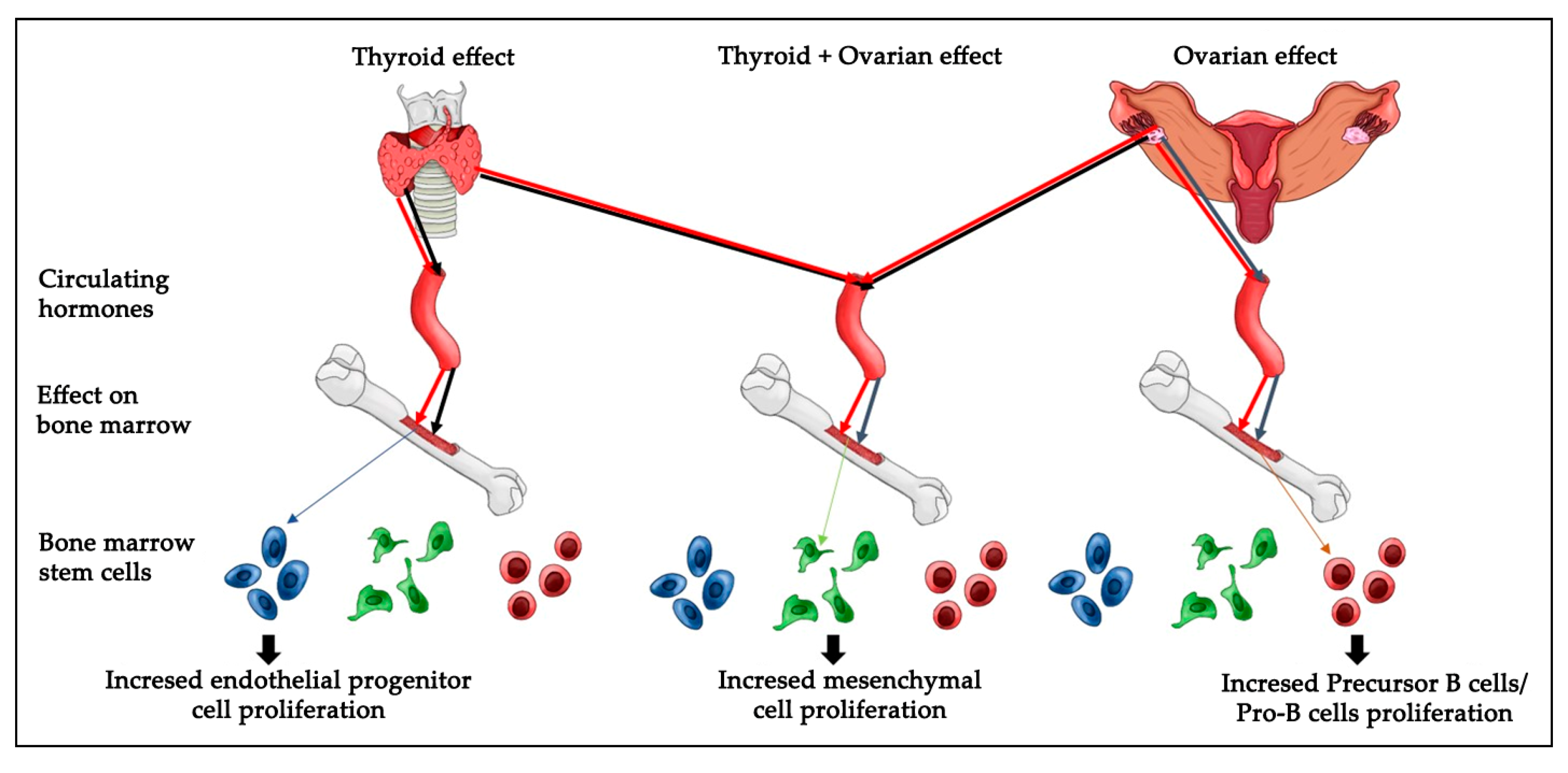 Ijms 18 02139 g007 550