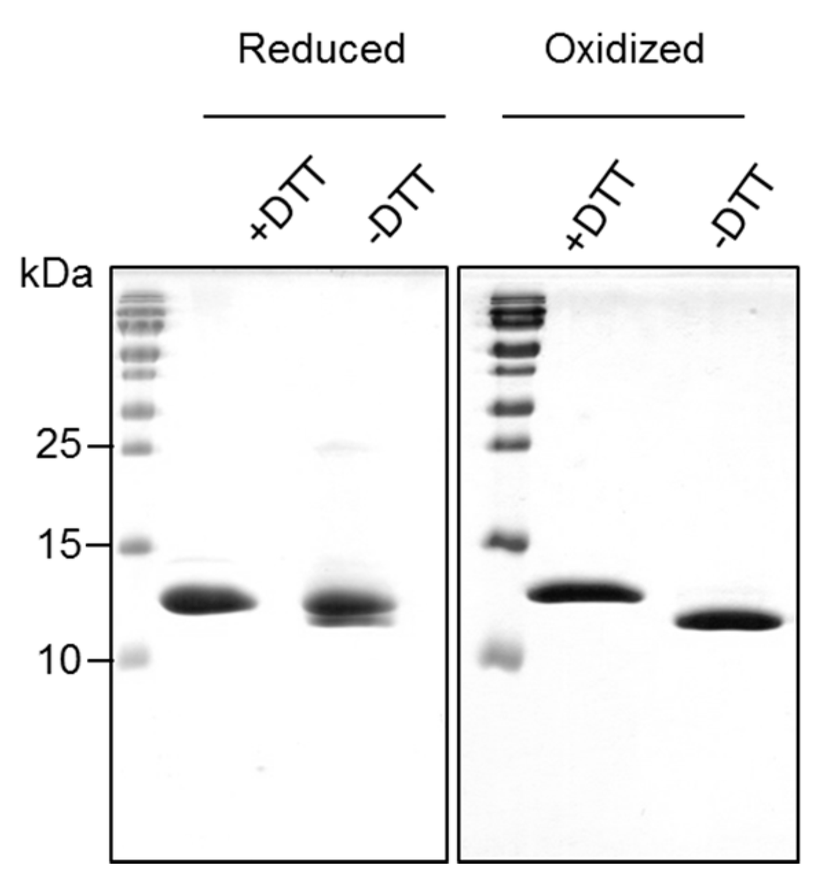 Ijms 18 02156 g001 550