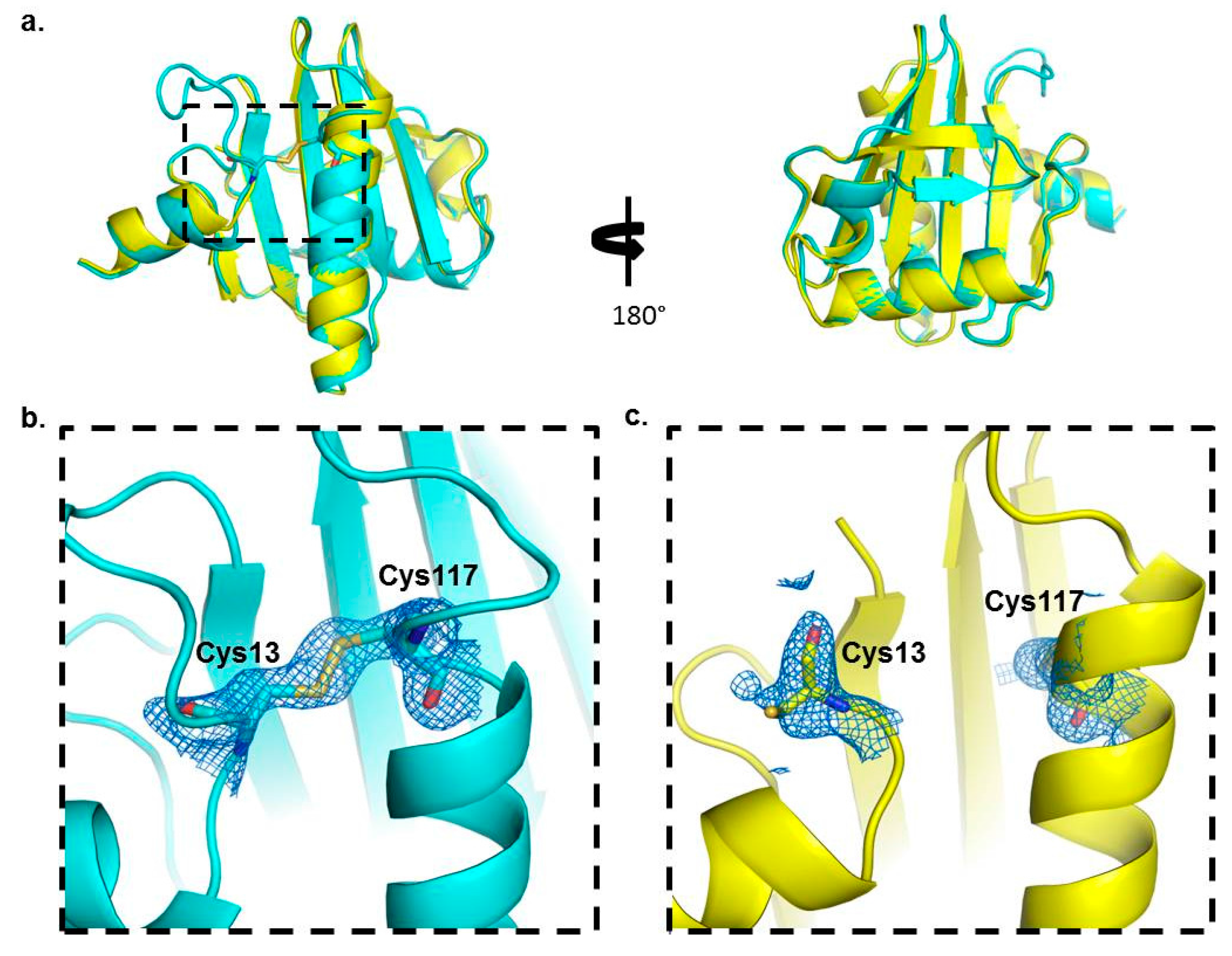 Ijms 18 02156 g002 550