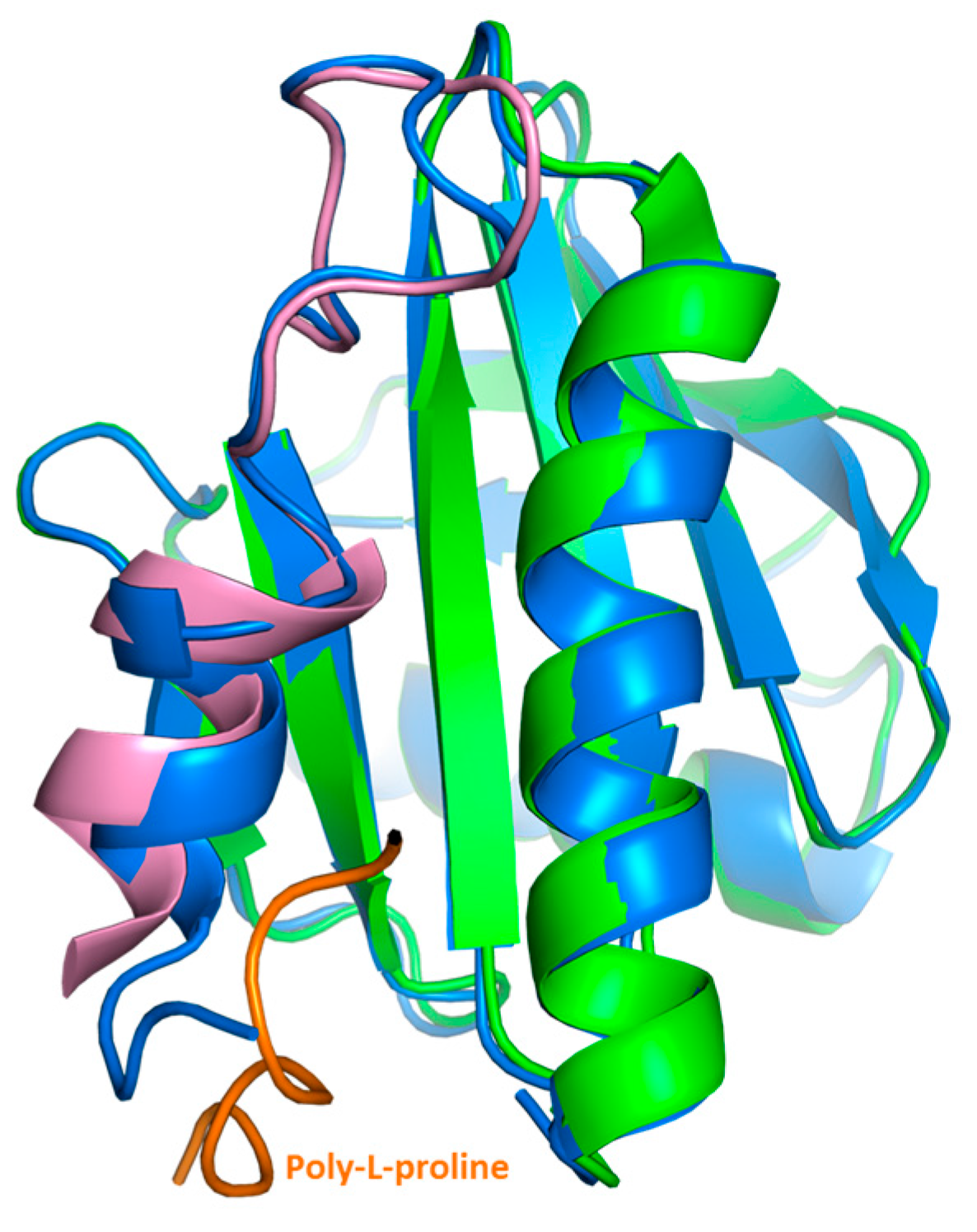 Ijms 18 02156 g005 550