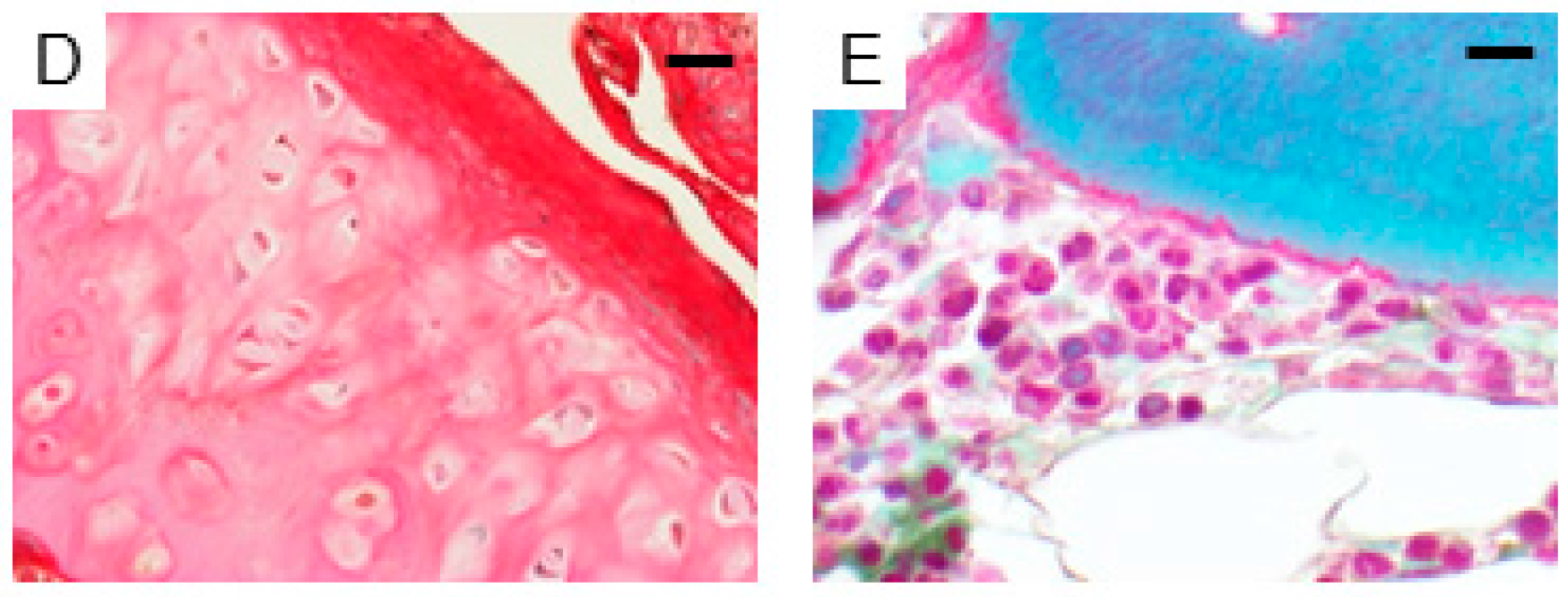 Ijms 18 02159 g001b Ijms 18 02159 g001b