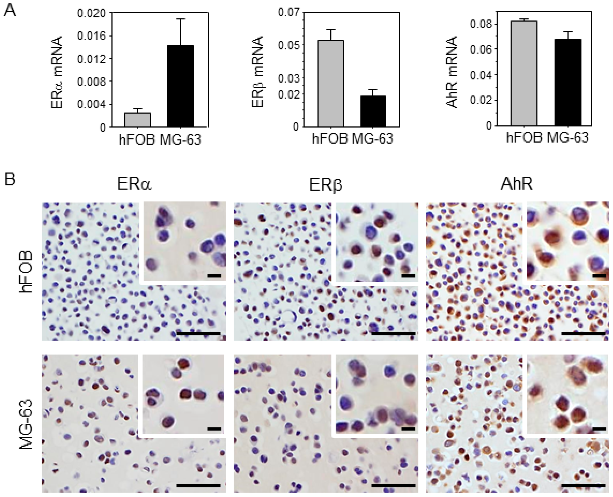 Ijms 18 02159 g002 Ijms 18 02159 g002