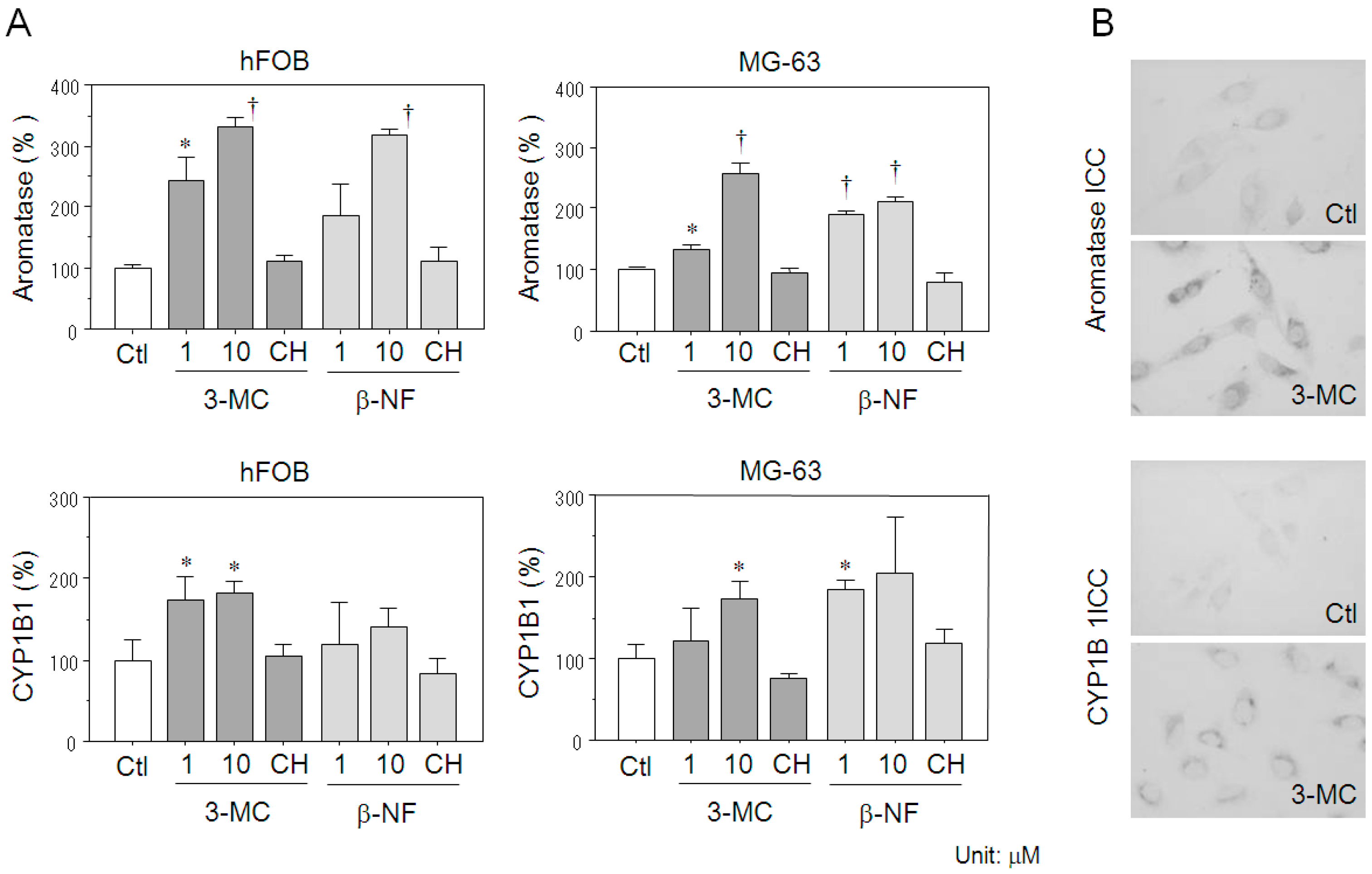 Ijms 18 02159 g003 Ijms 18 02159 g003