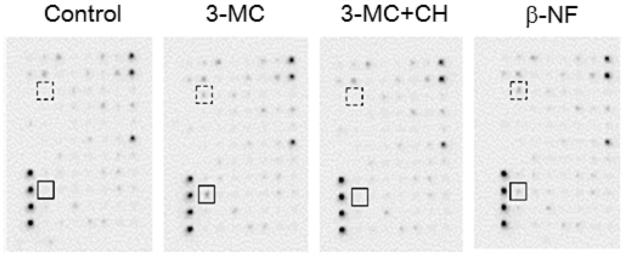 Ijms 18 02159 g004 Ijms 18 02159 g004