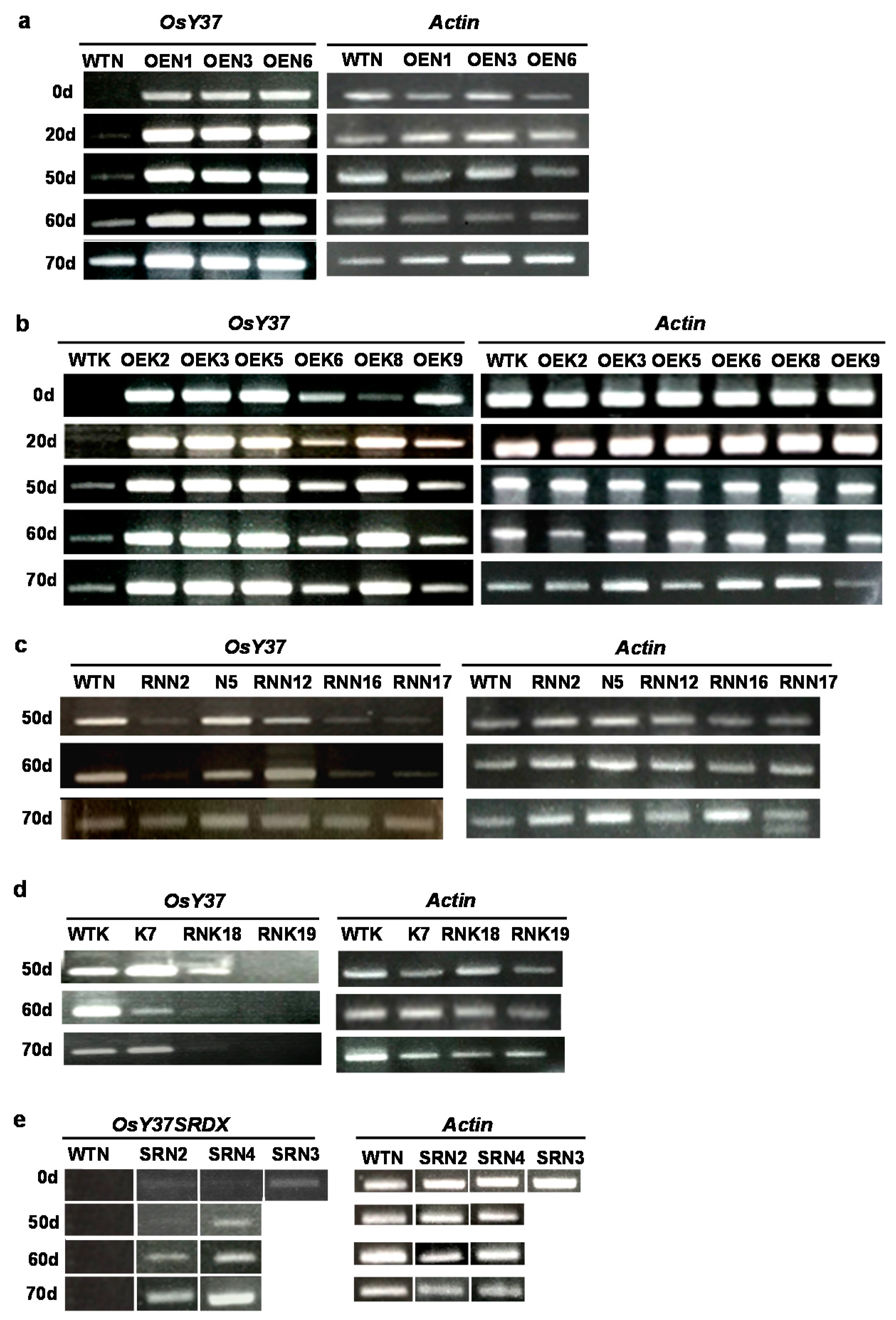 Ijms 18 02165 g007 550