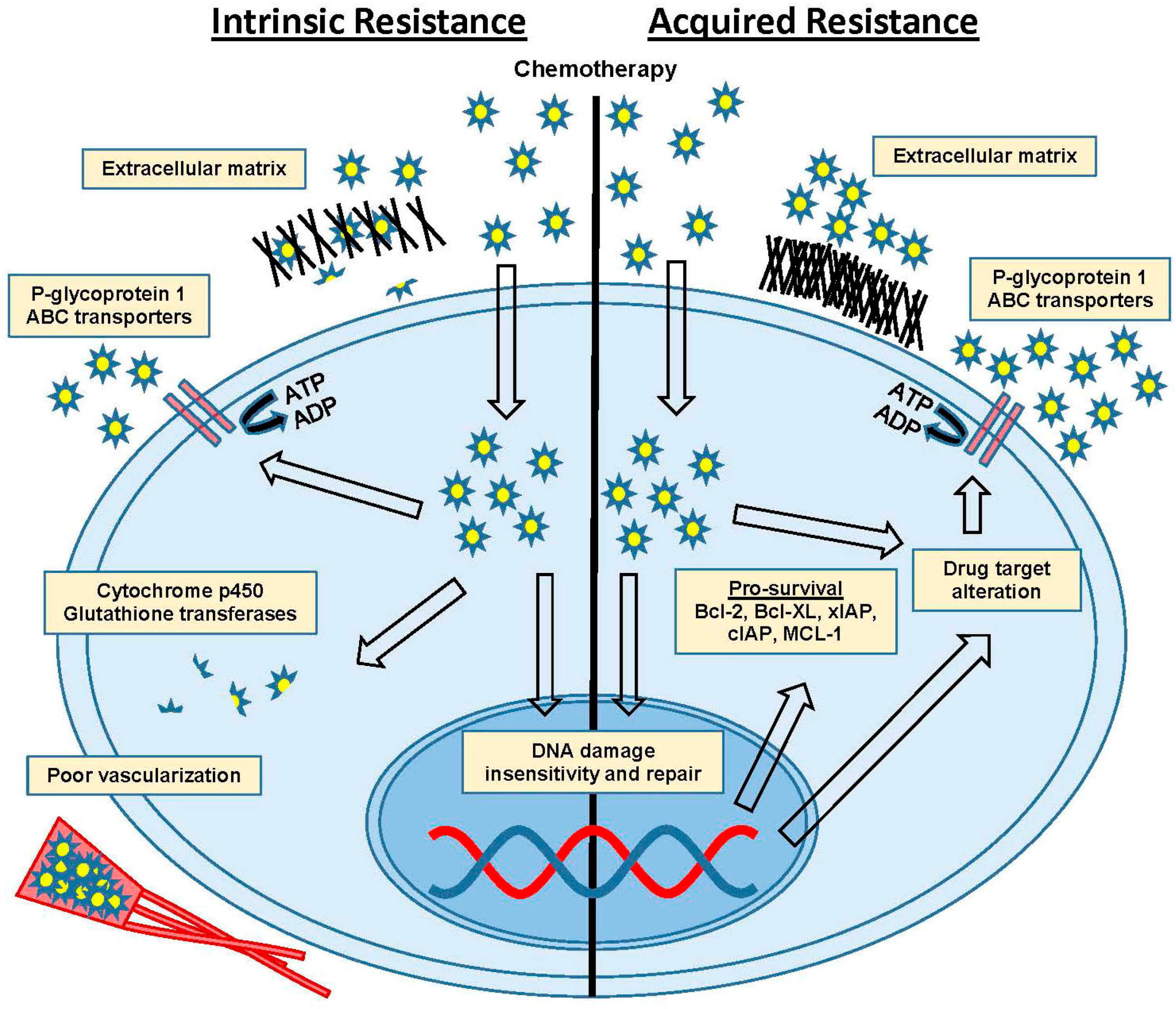 Ijms 18 02171 g001 Ijms 18 02171 g001