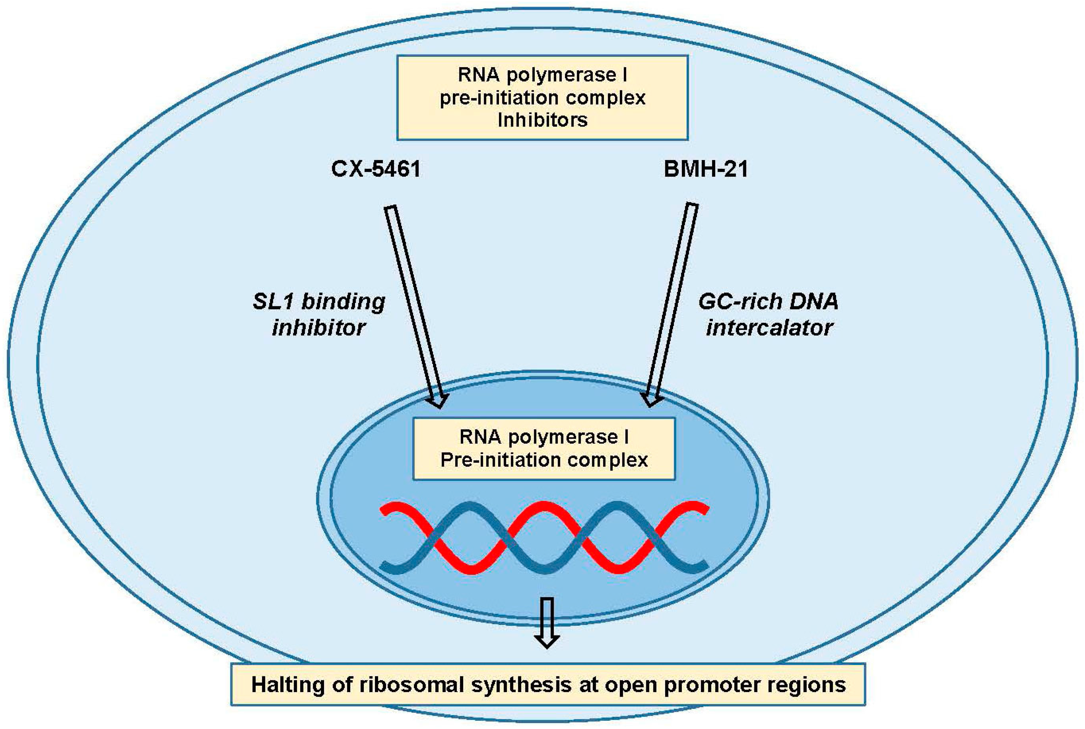 Ijms 18 02171 g005 Ijms 18 02171 g005