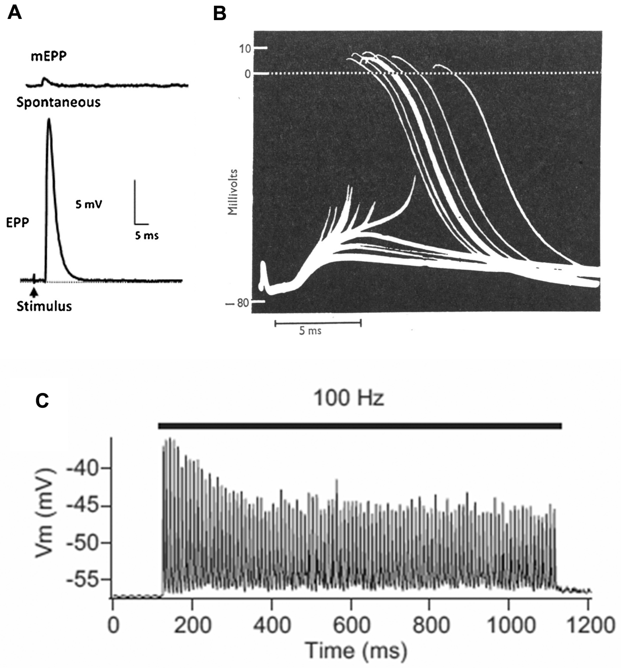 Ijms 18 02183 g002 550