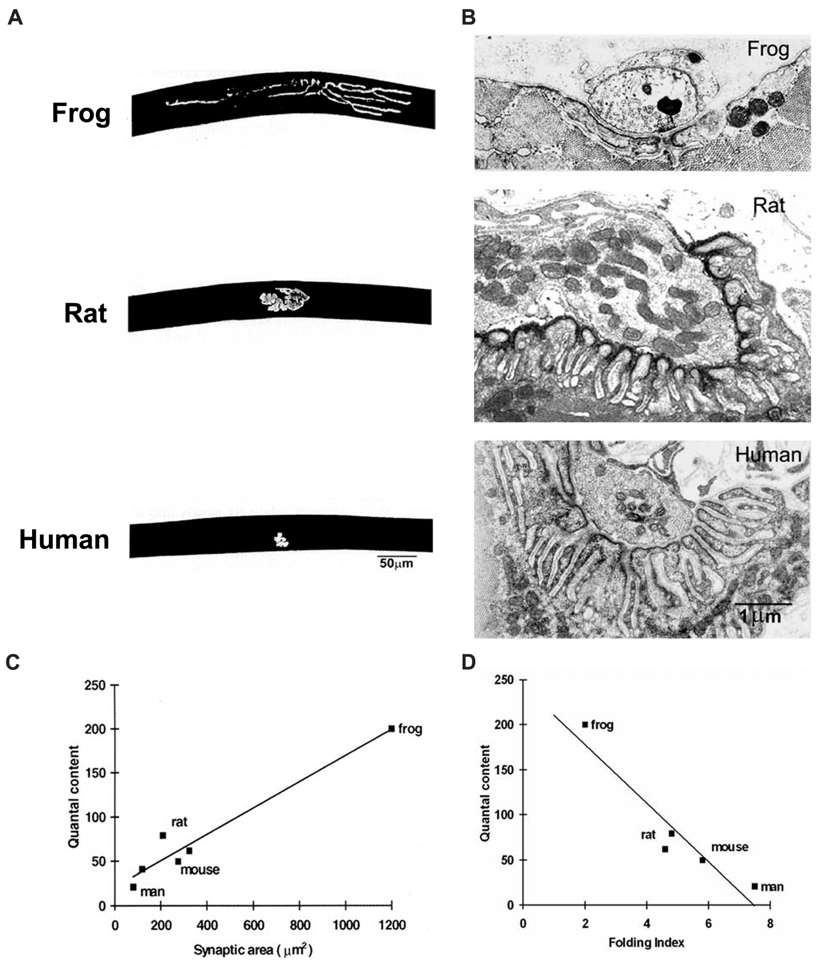 Ijms 18 02183 g006 550