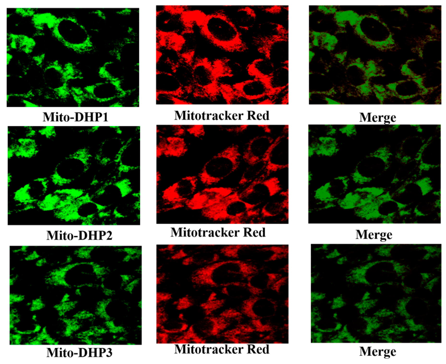 Ijms 18 02233 g001 550